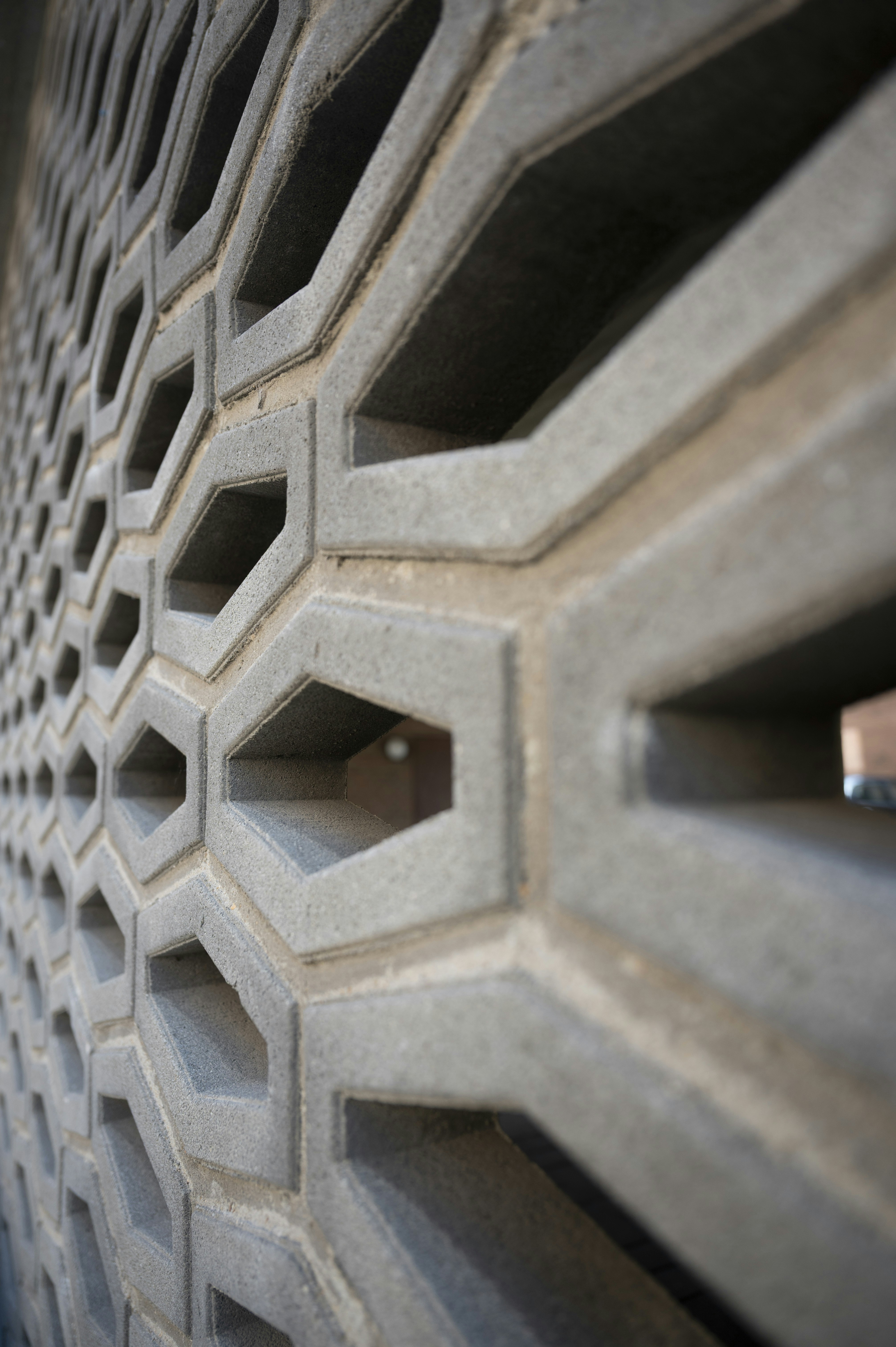 Photo by marianne_lariviere