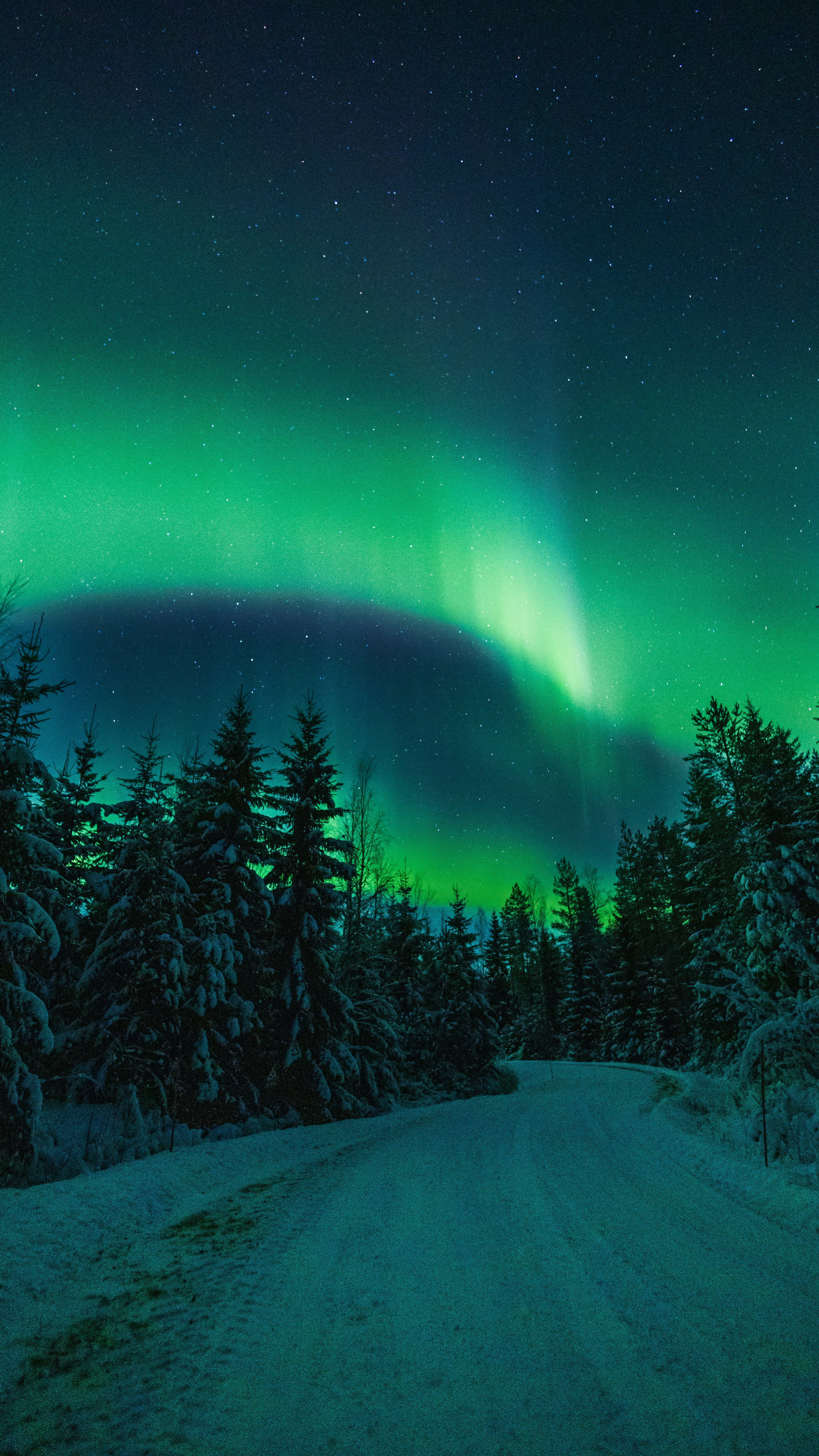 Photo by juho_aleksi_luomala