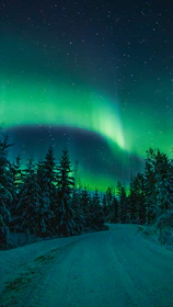 Aurora borealis over a snowy forest road