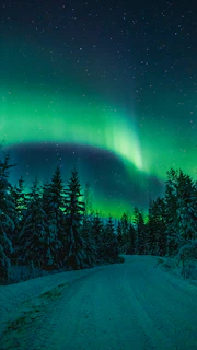 Aurora borealis over a snowy forest road