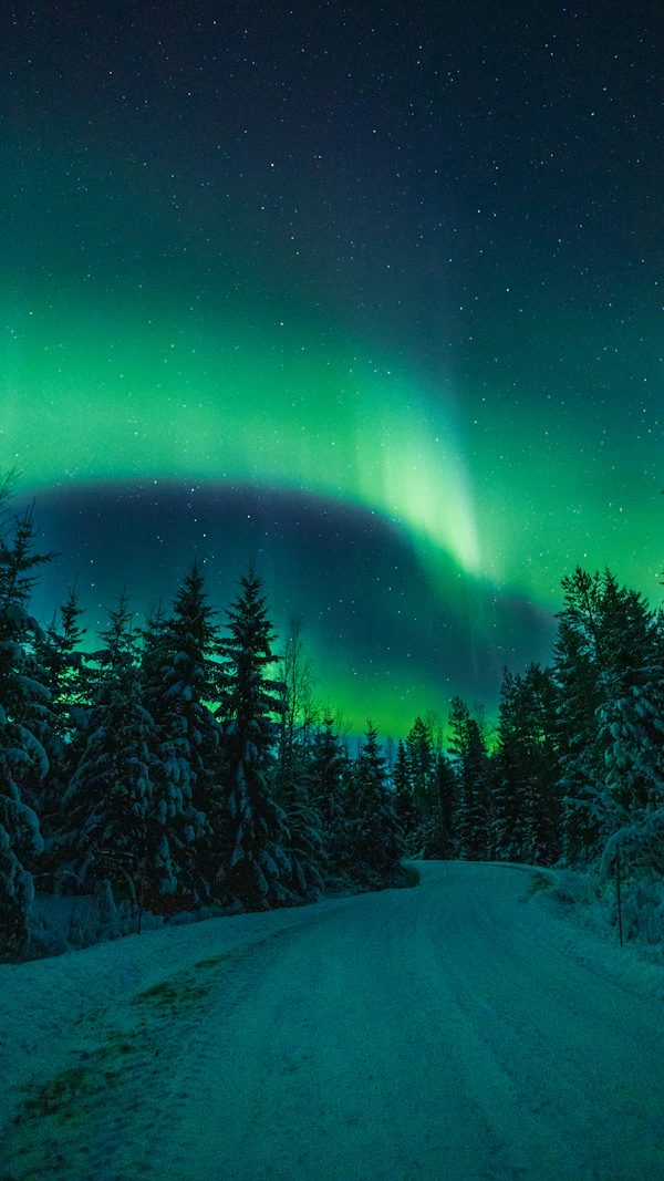 Finland: Helsinki to Tampere Discovery