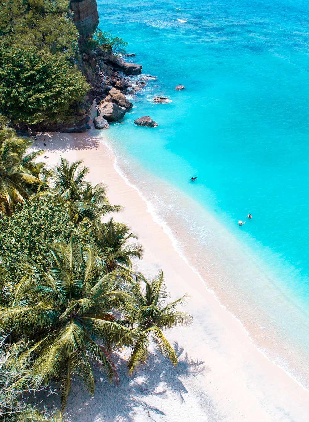 Palm-lined beach and clear blue sea in Grenada