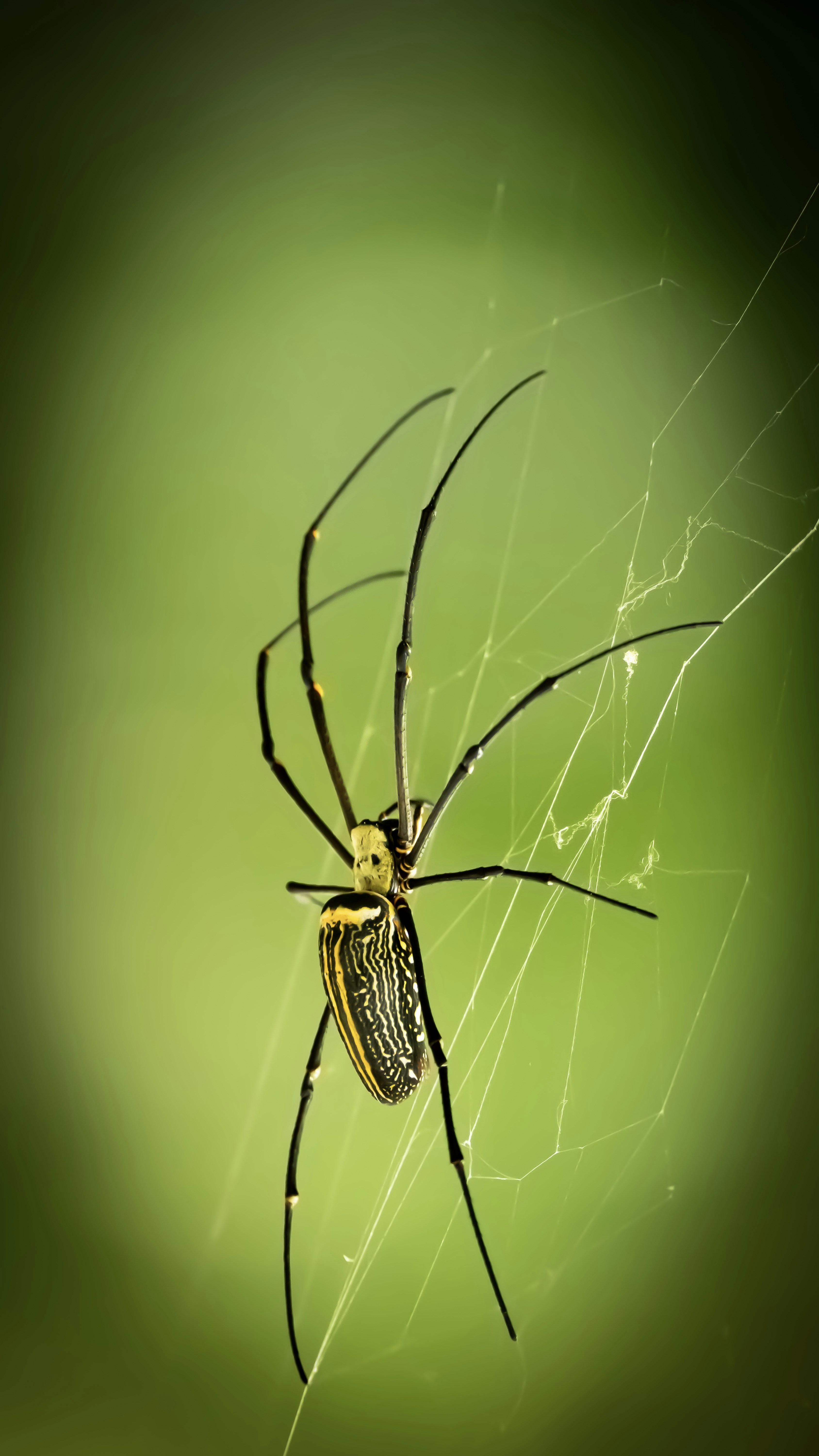 Photo by syedsalim1109