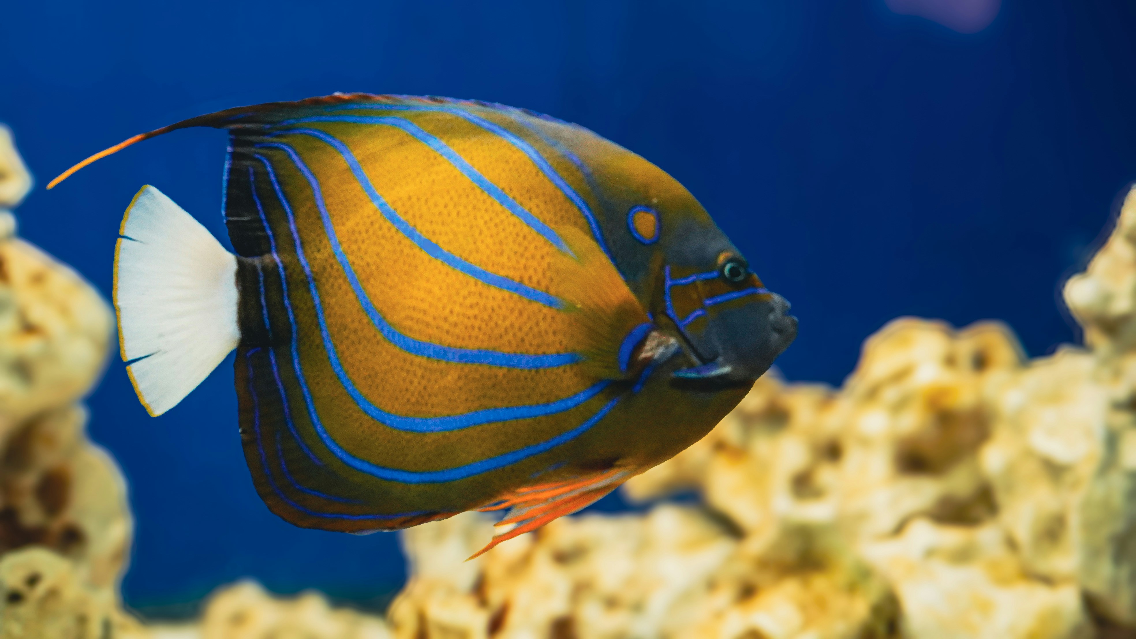 Photo by syedsalim1109