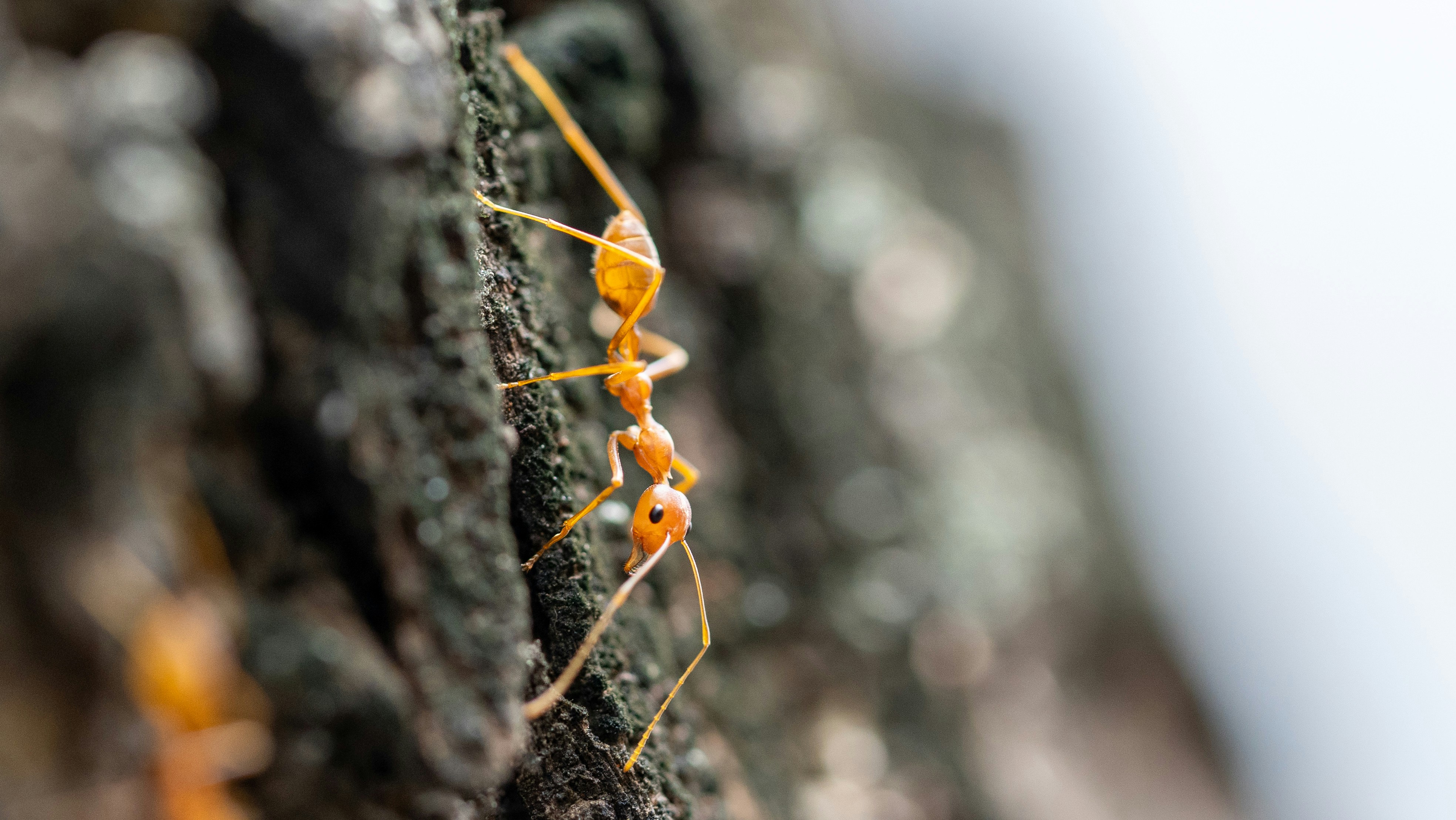 Photo by syedsalim1109