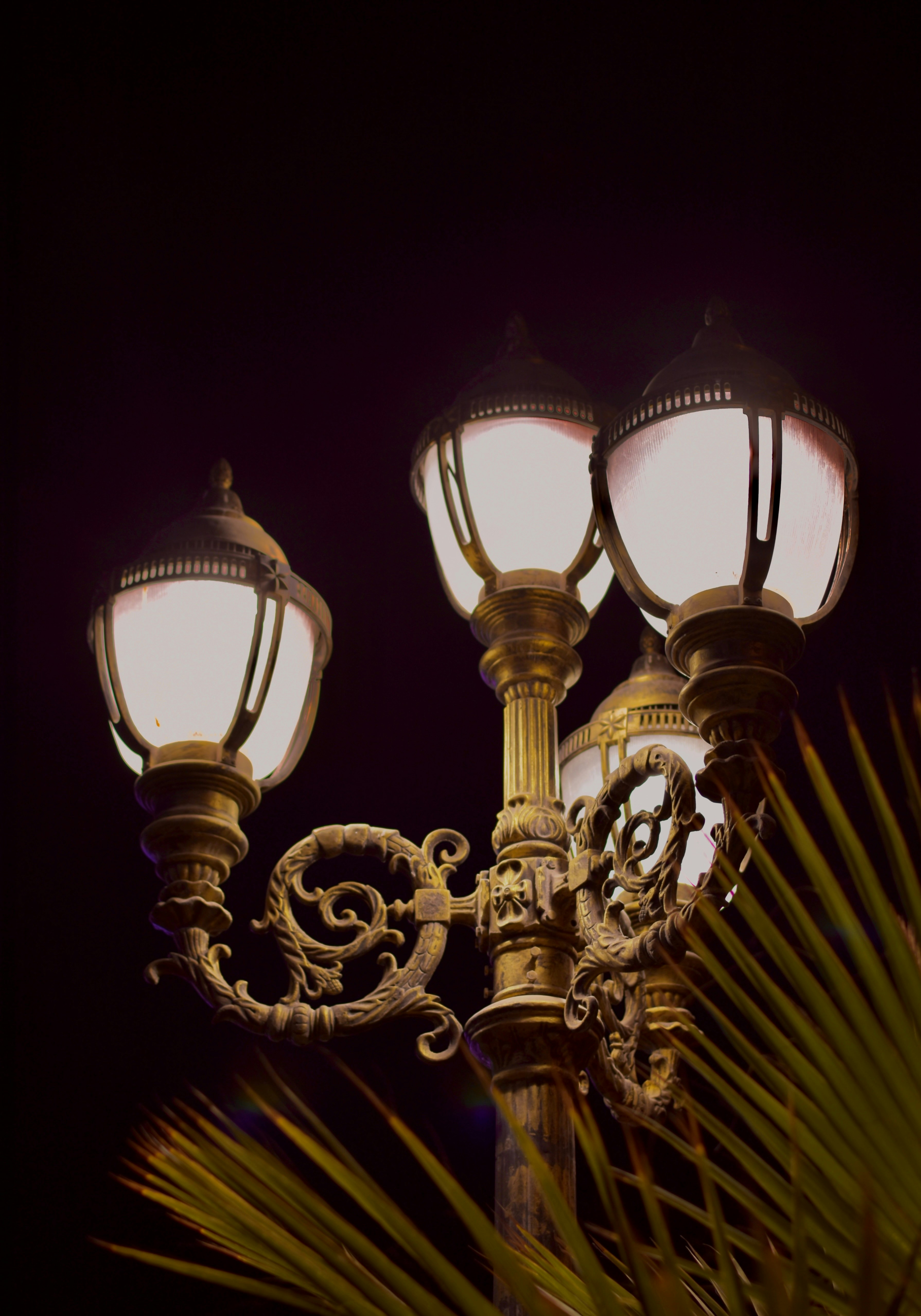 Photo by treb_vinas24