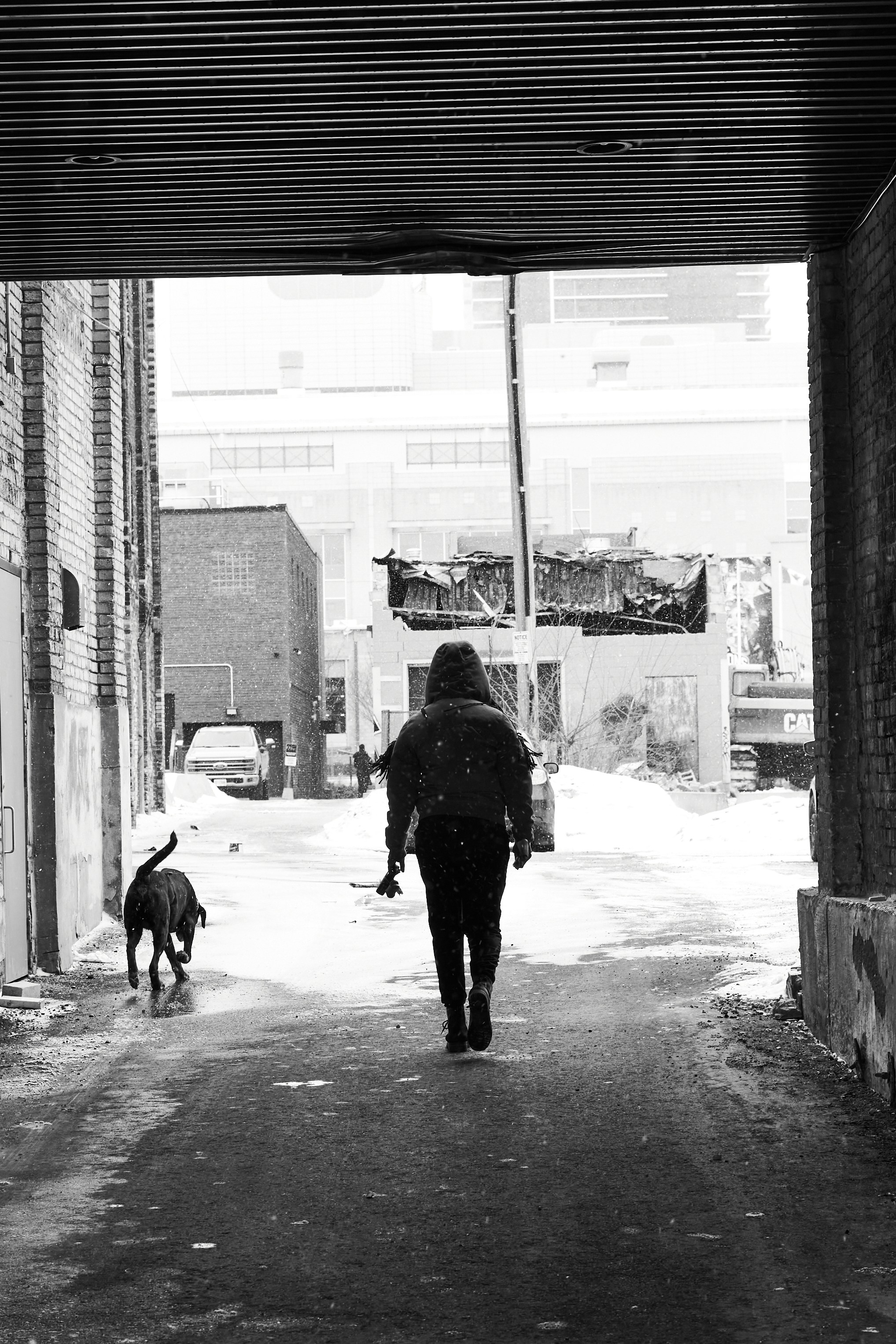 Person walking dog down snowy alleyway