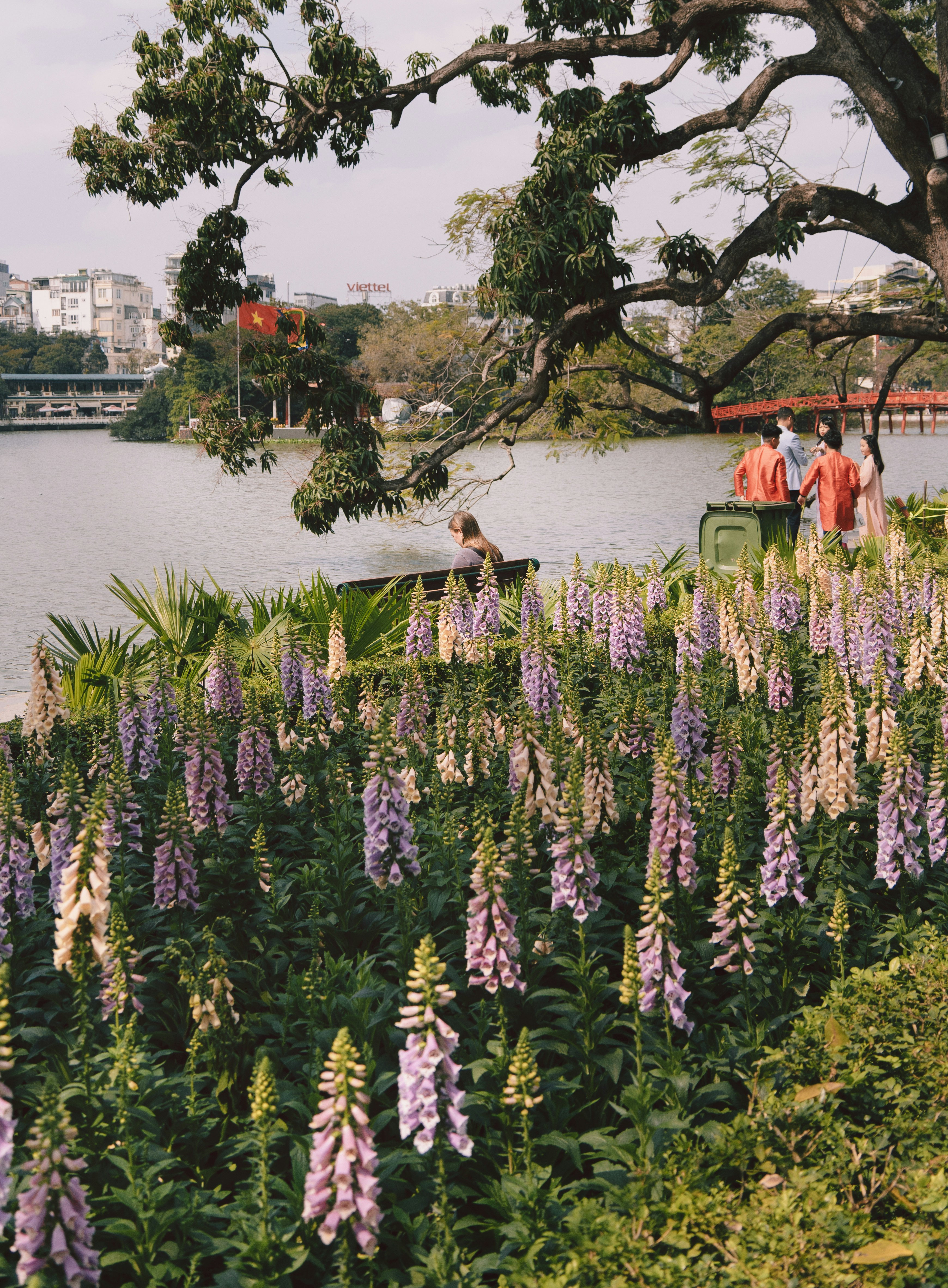 What will we be Doing in Heaven?