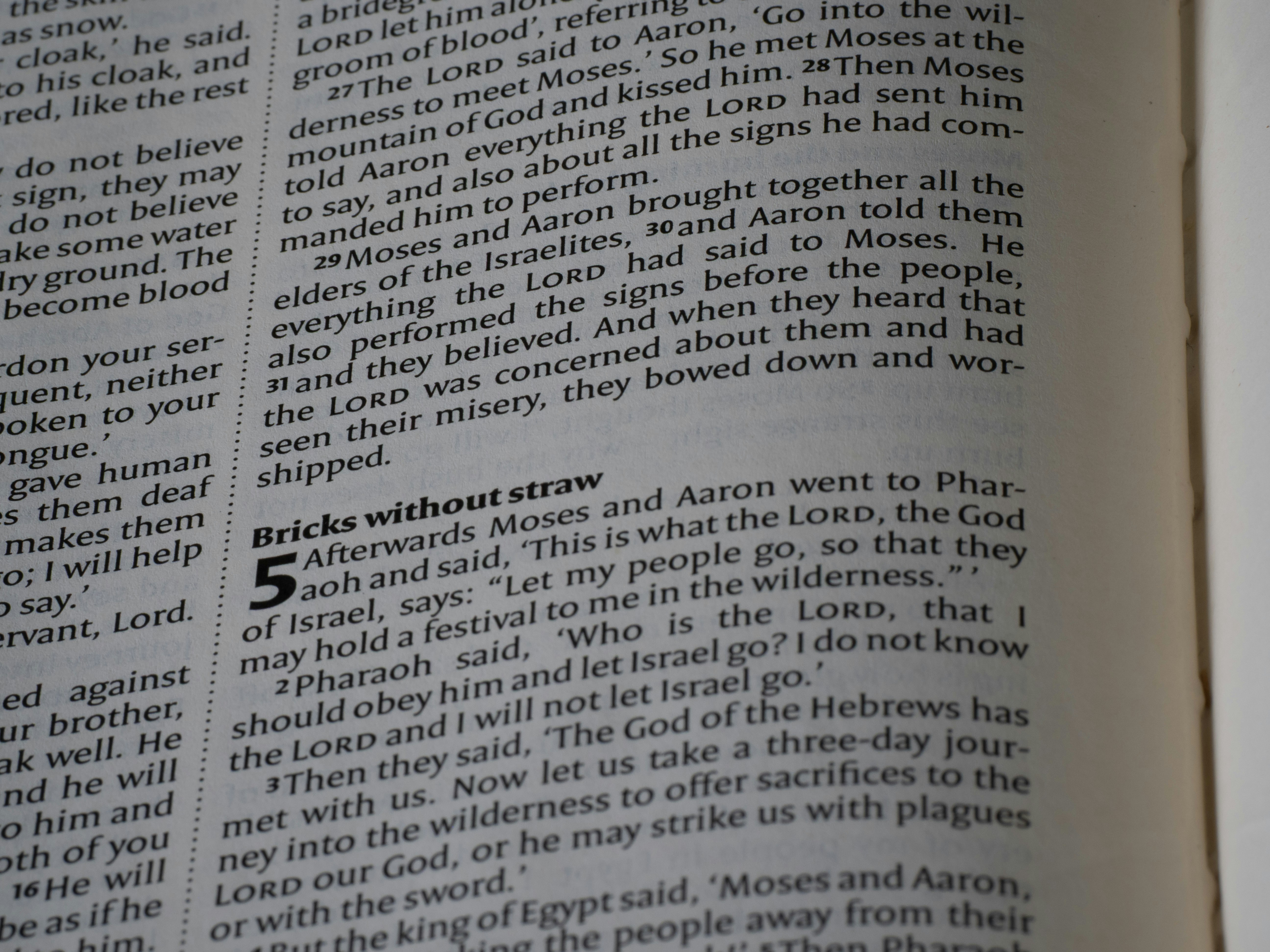 Close-up of an open book with text.