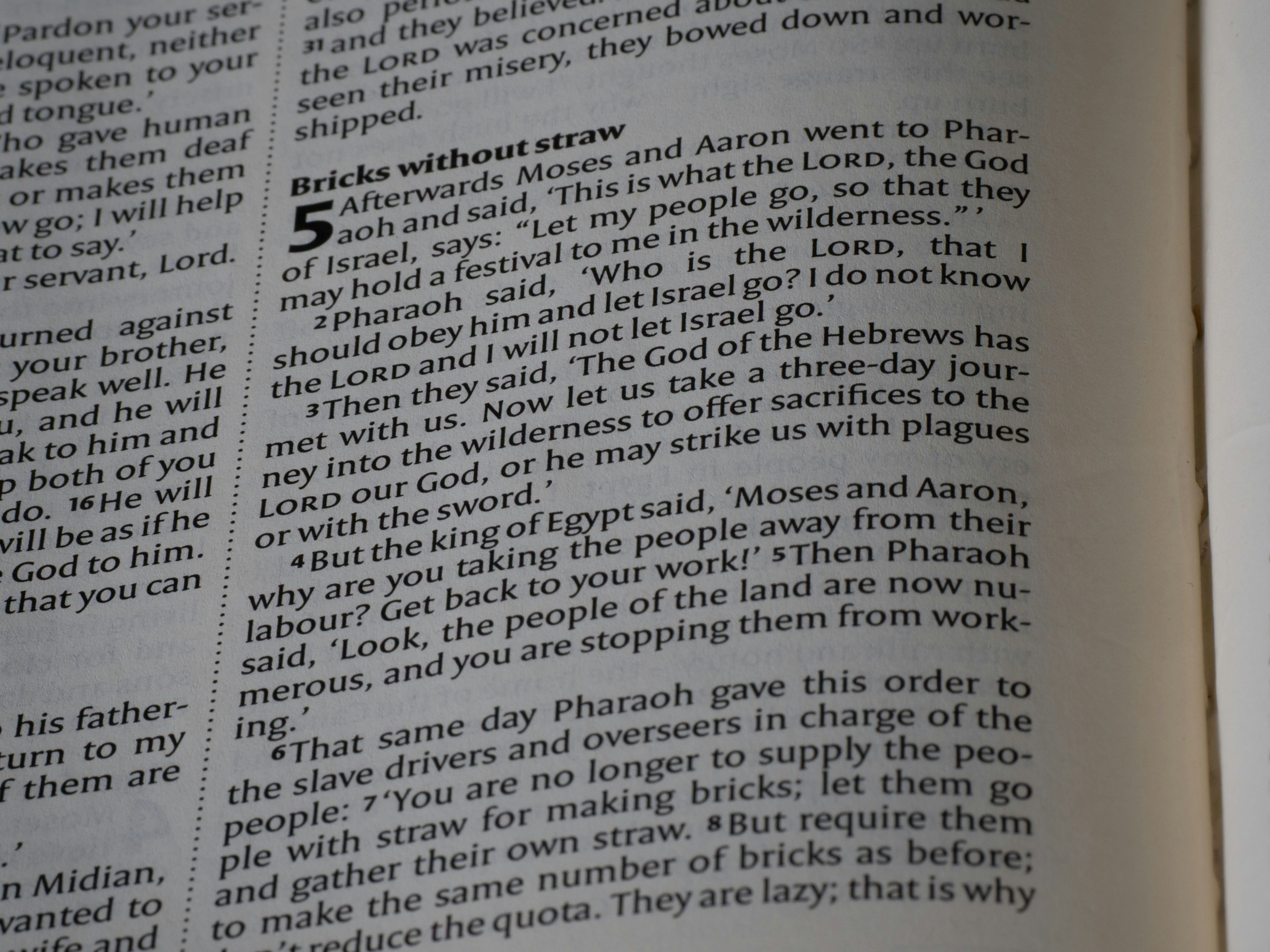 Close-up of text in an open book.