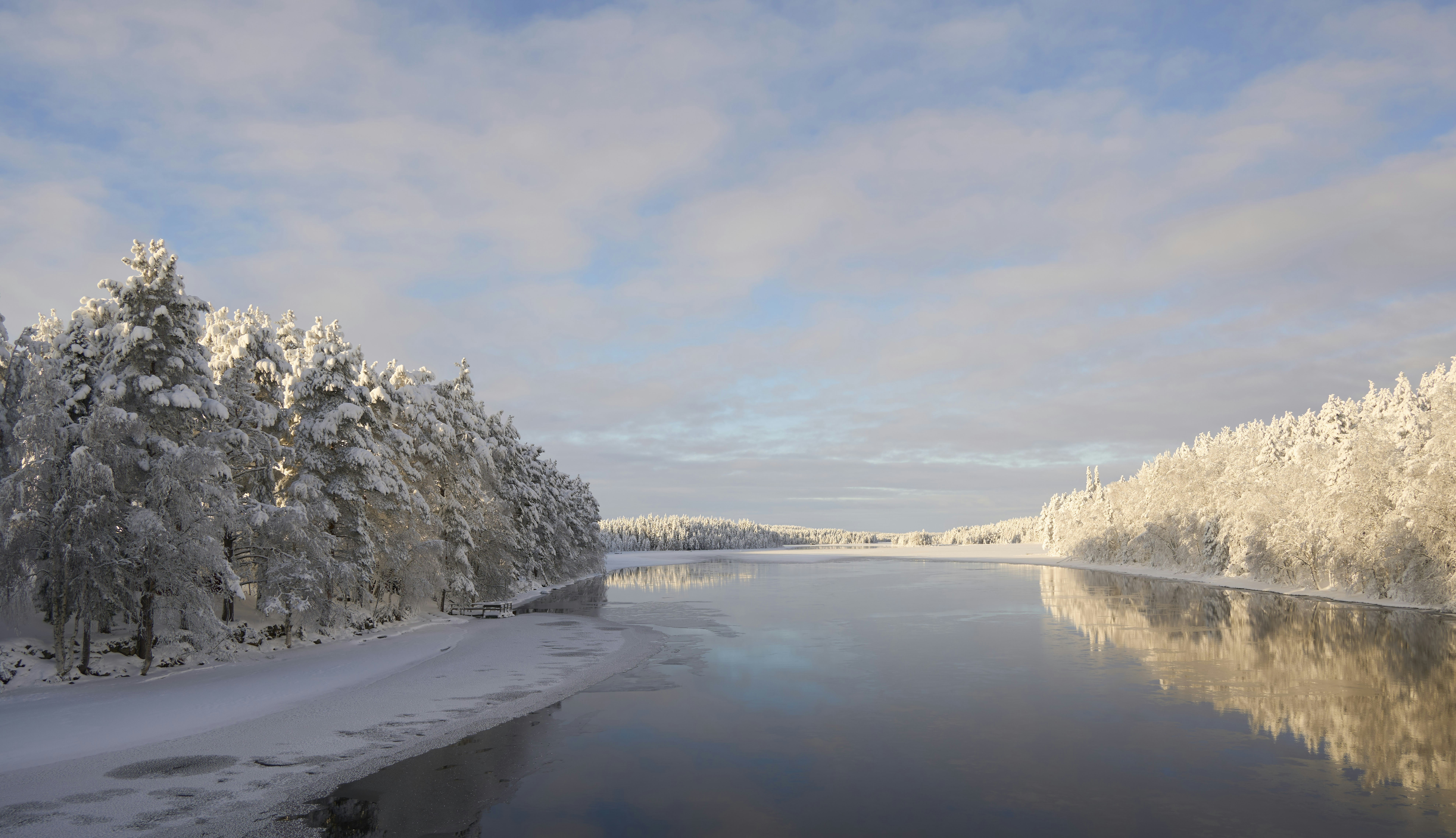 Photo by wolfgang_hasselmann