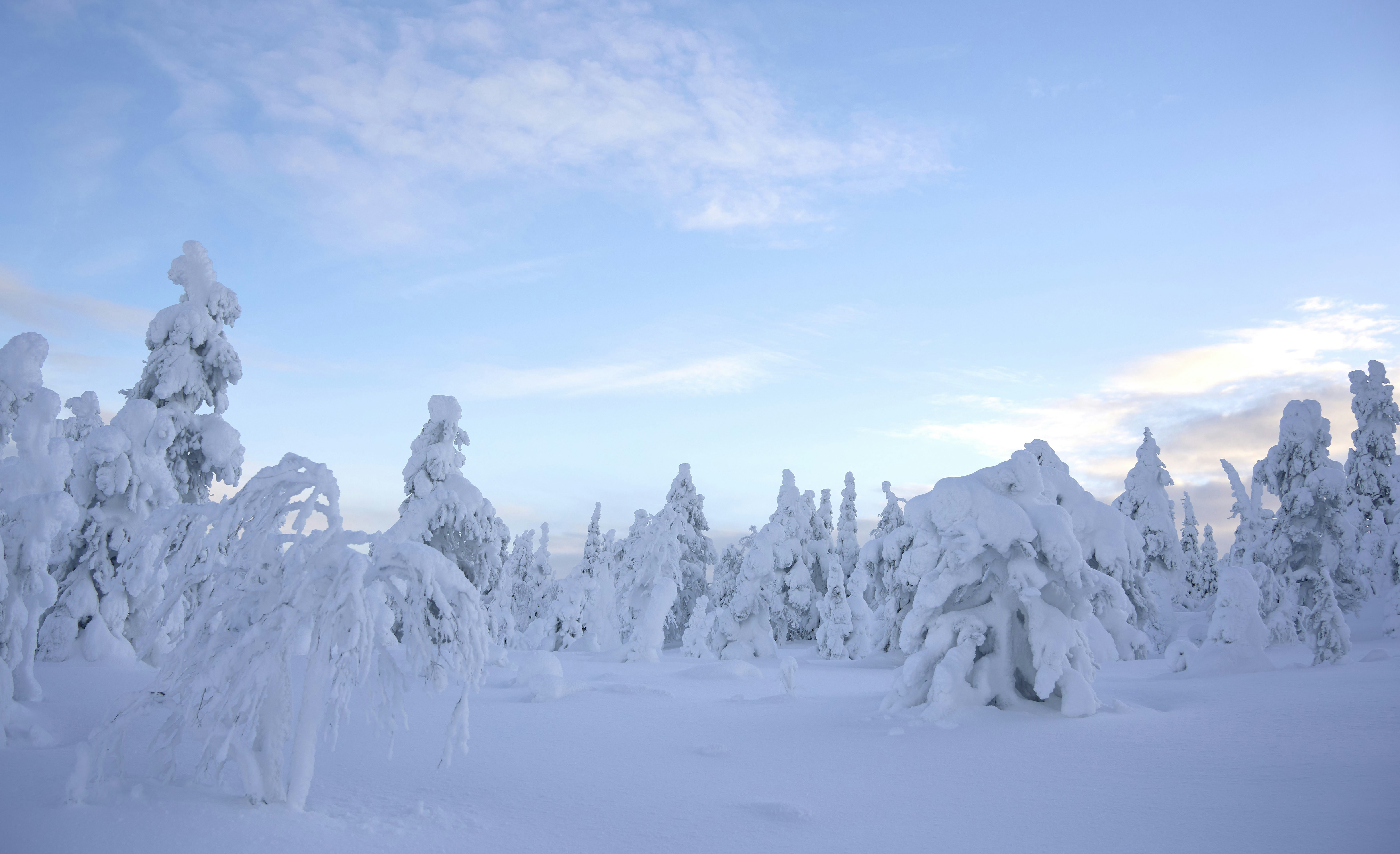 Photo by wolfgang_hasselmann