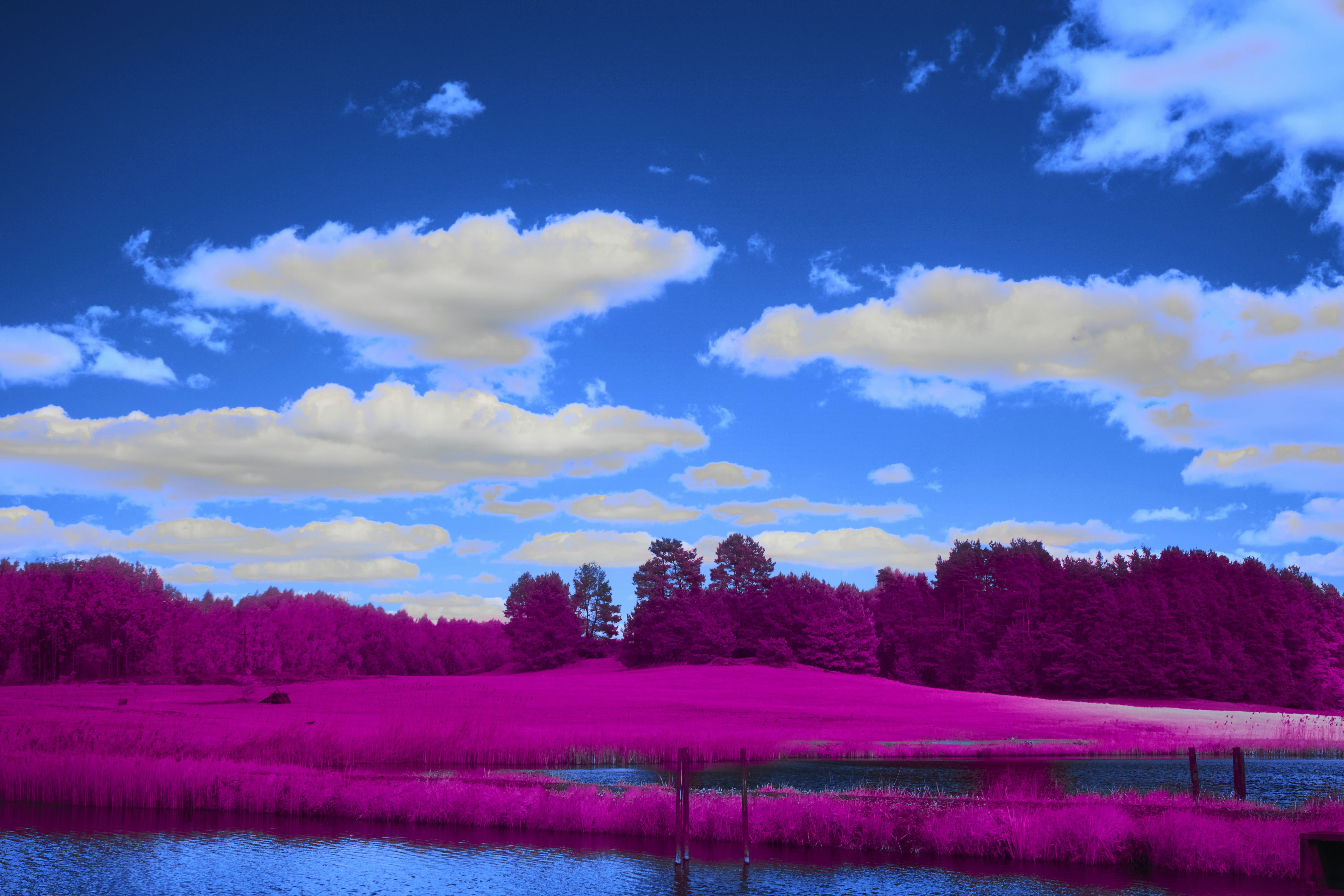 Photo by wolfgang_hasselmann