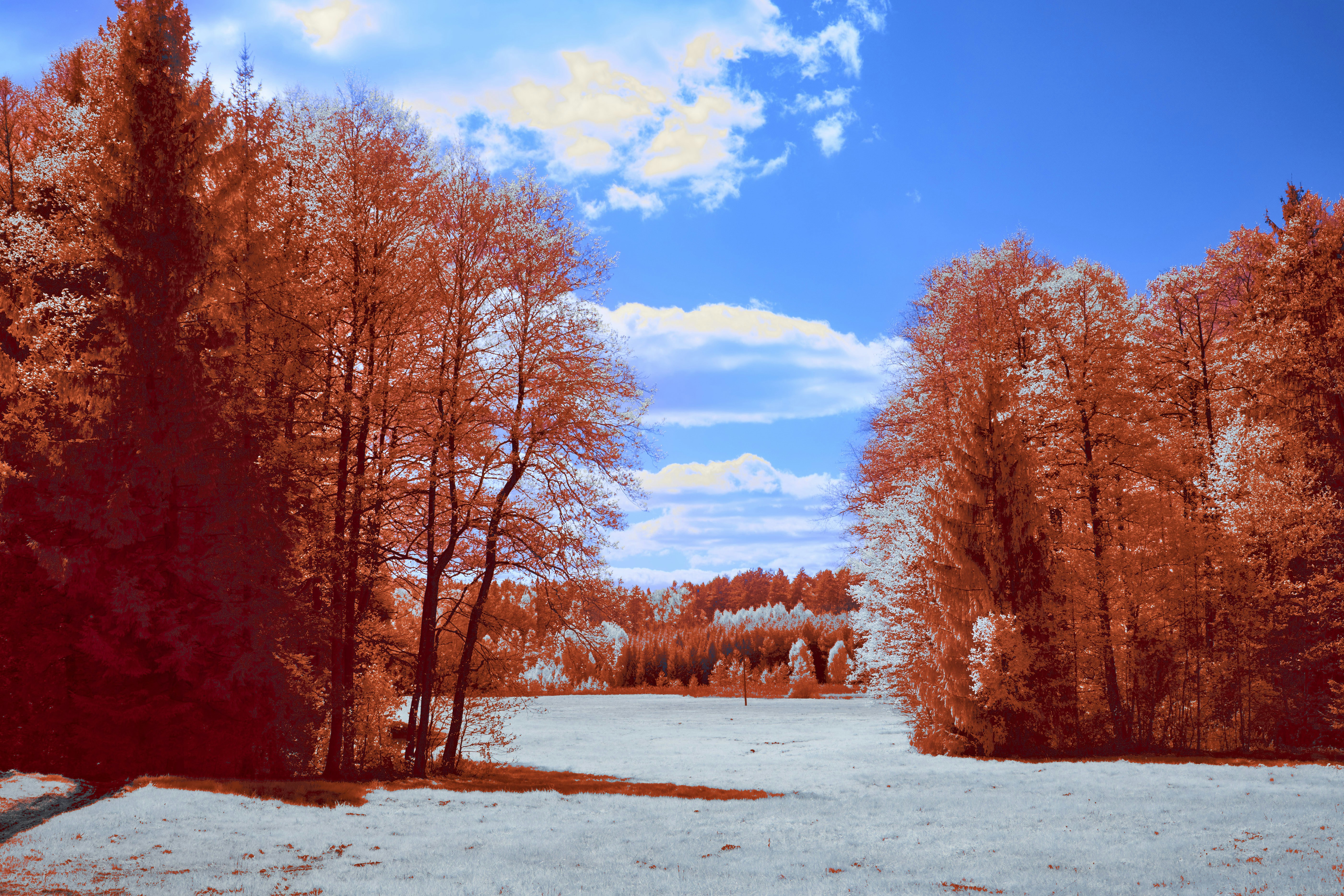 Photo by wolfgang_hasselmann