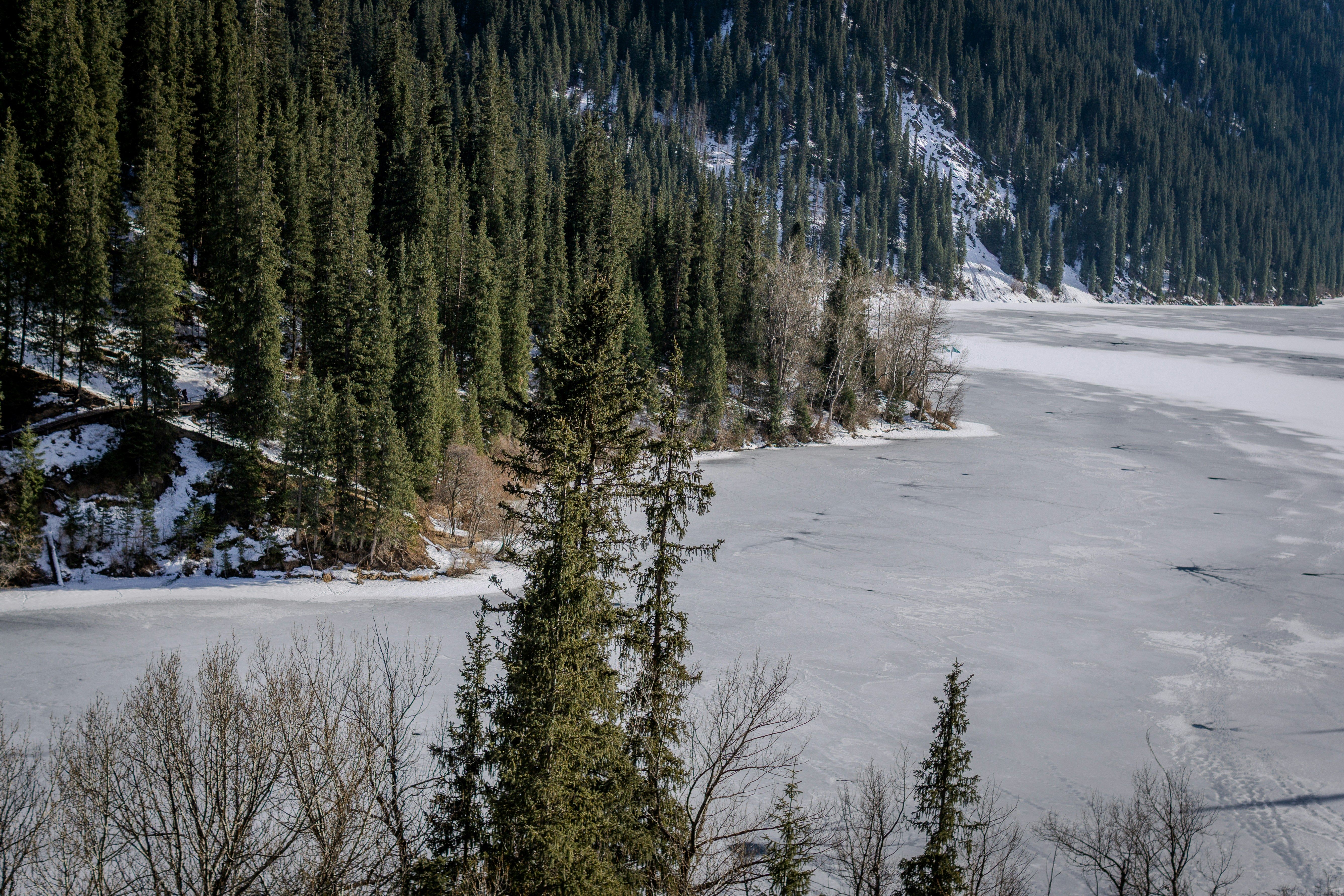 Photo by wenfelixpixel