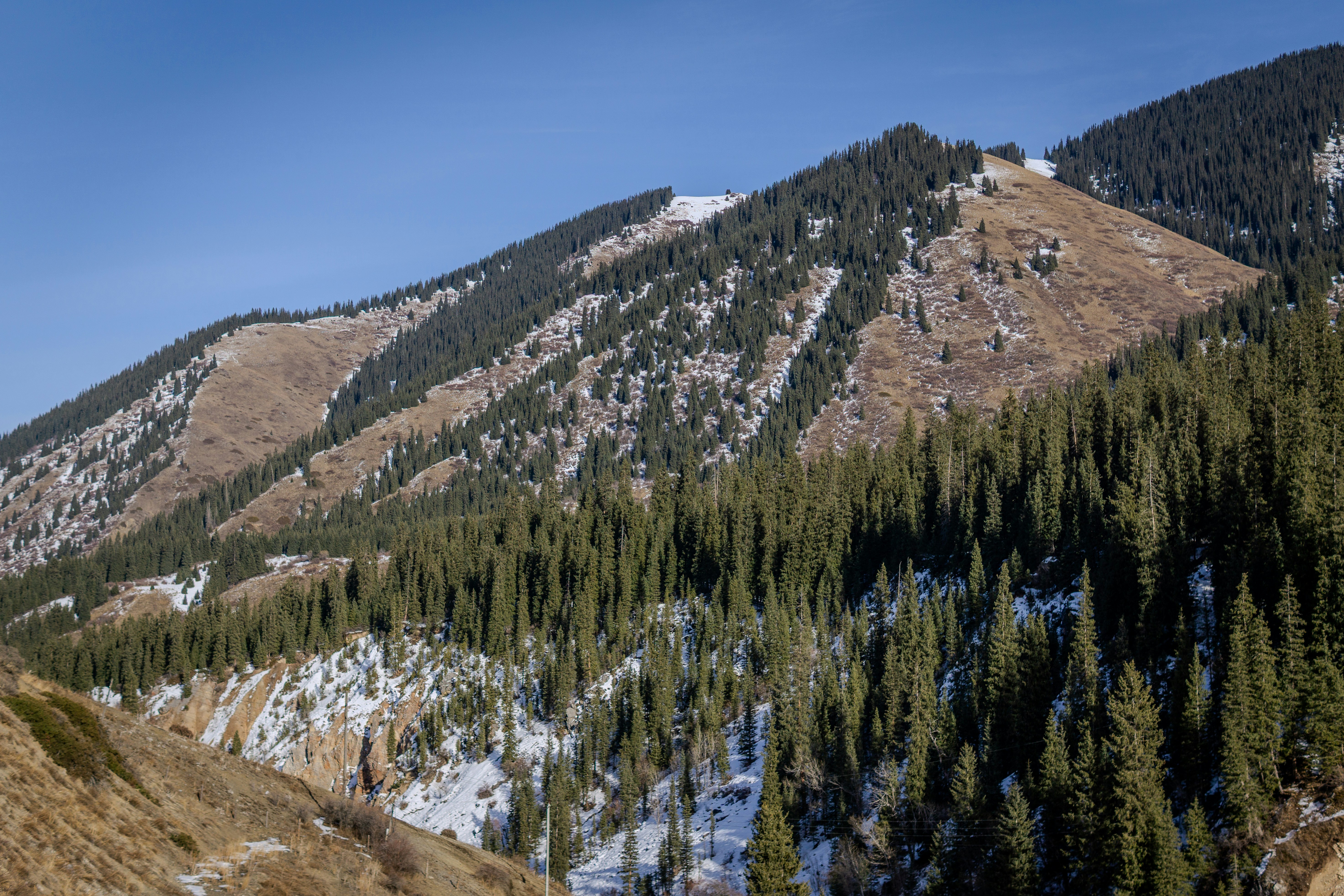 Photo by wenfelixpixel