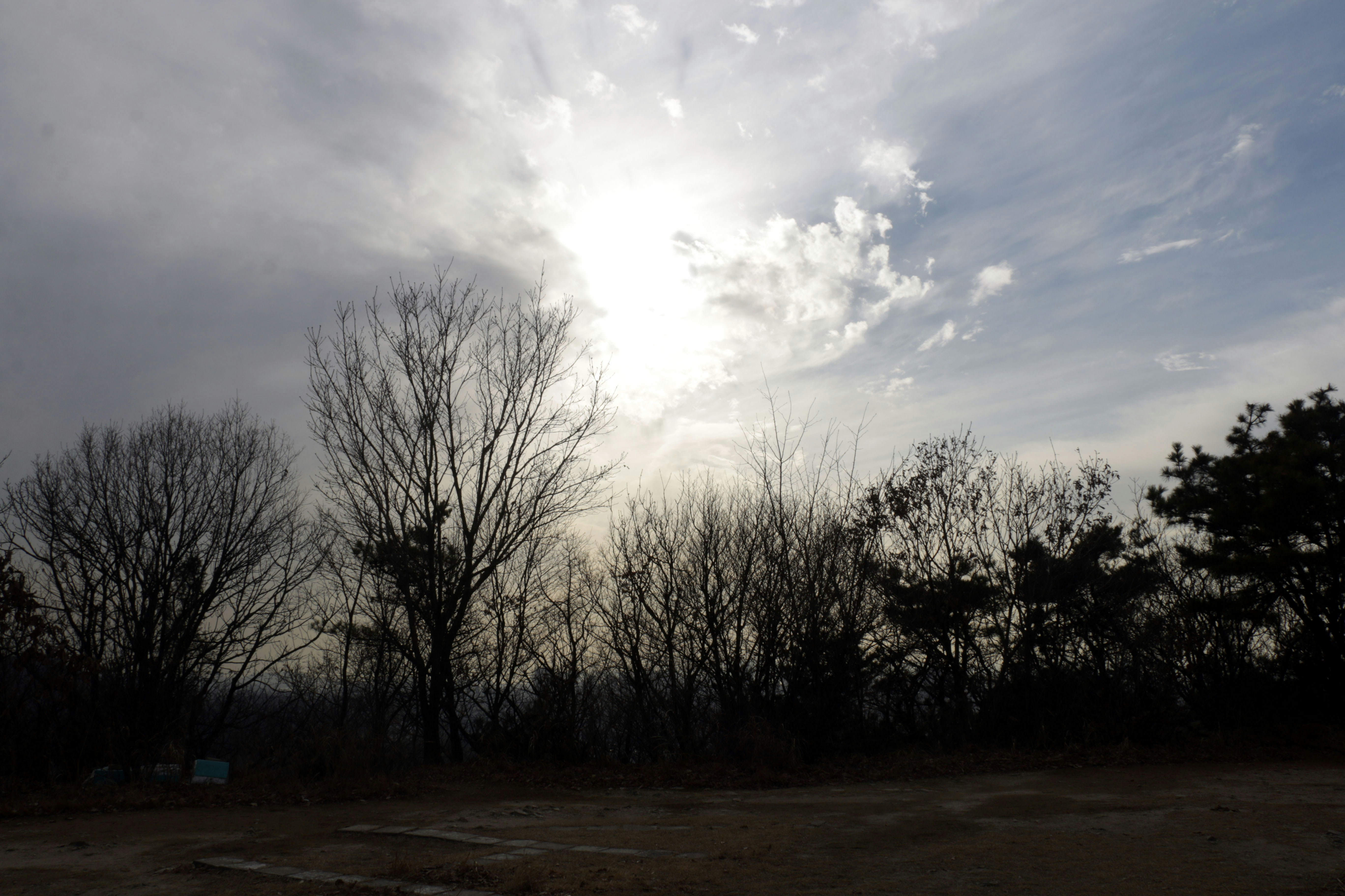 Bare trees silhouetted against a cloudy sky at sunset.