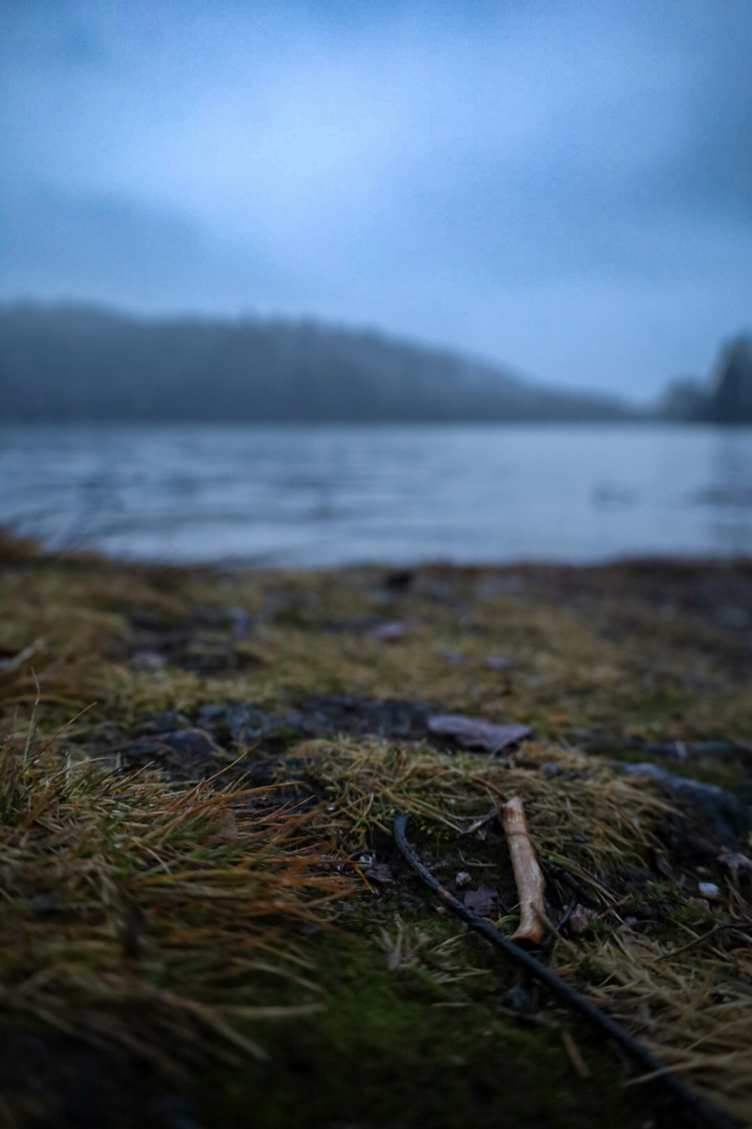 A foggy lake with dry grass in the foreground