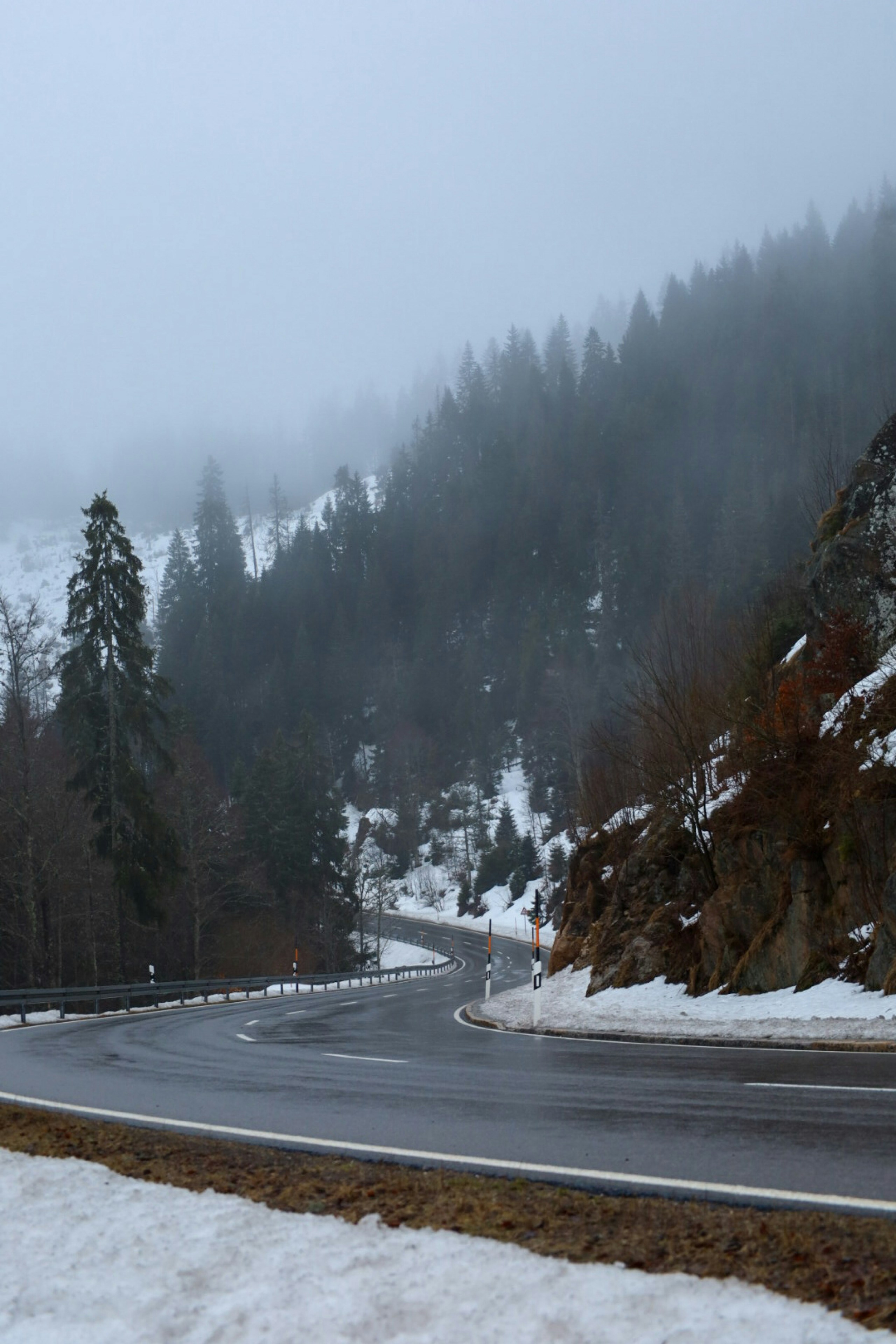 Winding road through a snowy forest on a foggy day
