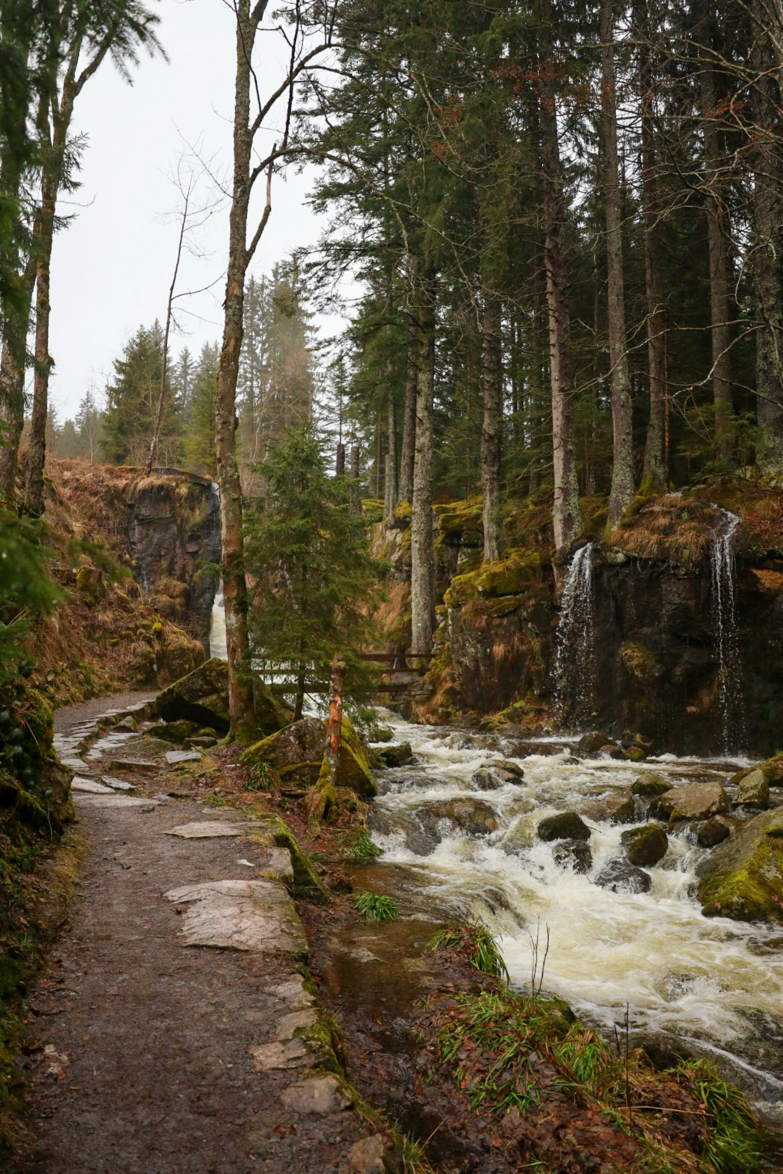 A winding path leads through a forest with waterfalls
