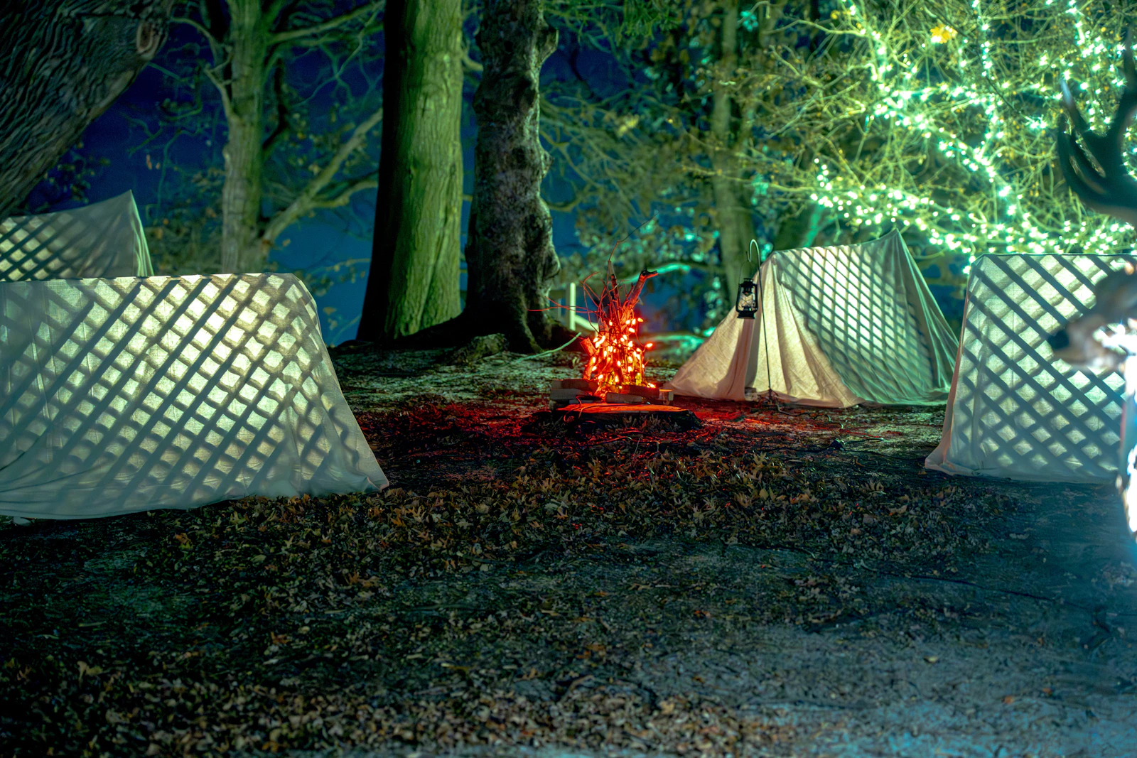 Camping tents and outdoor equipment gathered around a glowing campsite at night