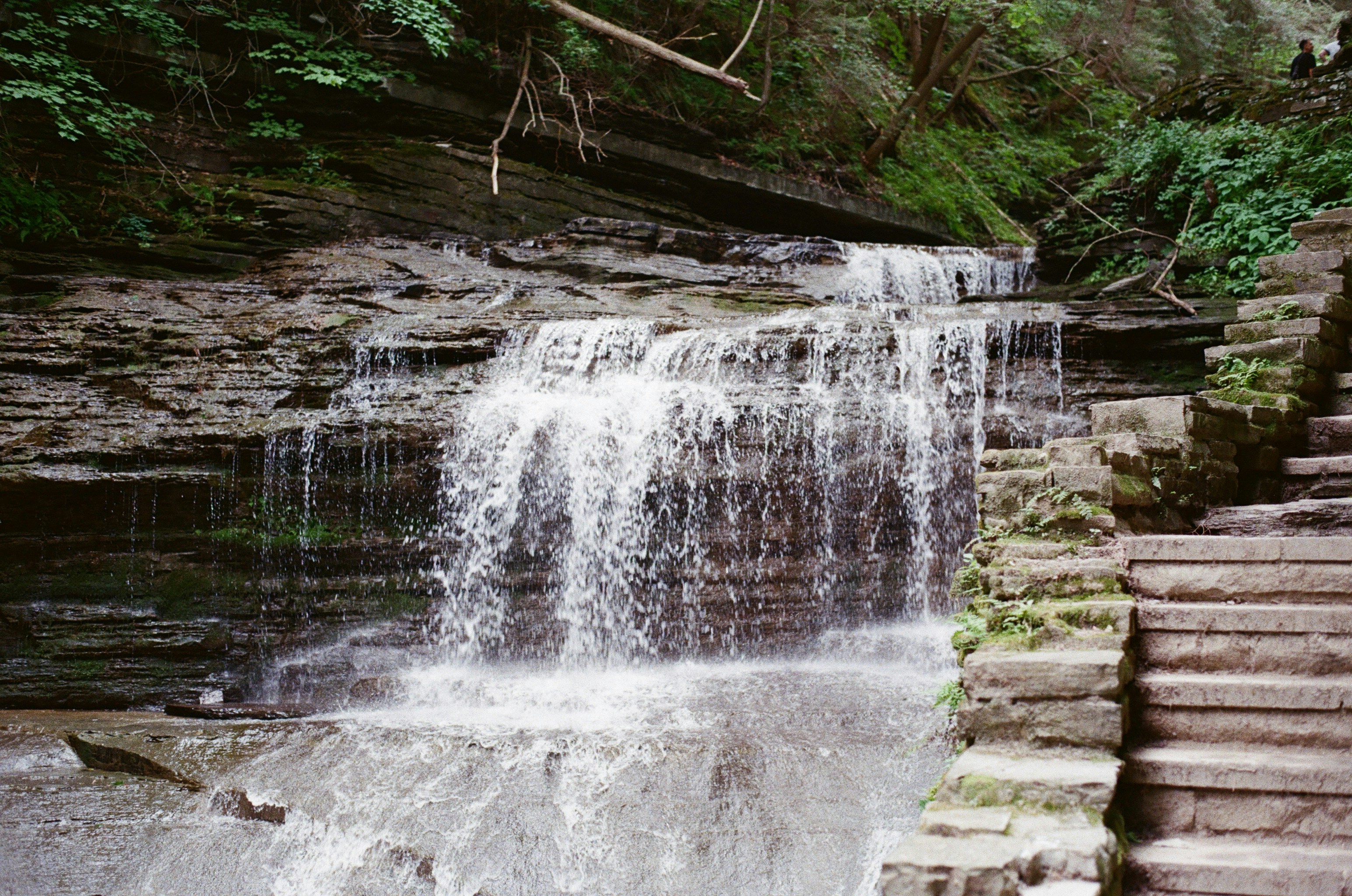 Photo by marthamonjaras