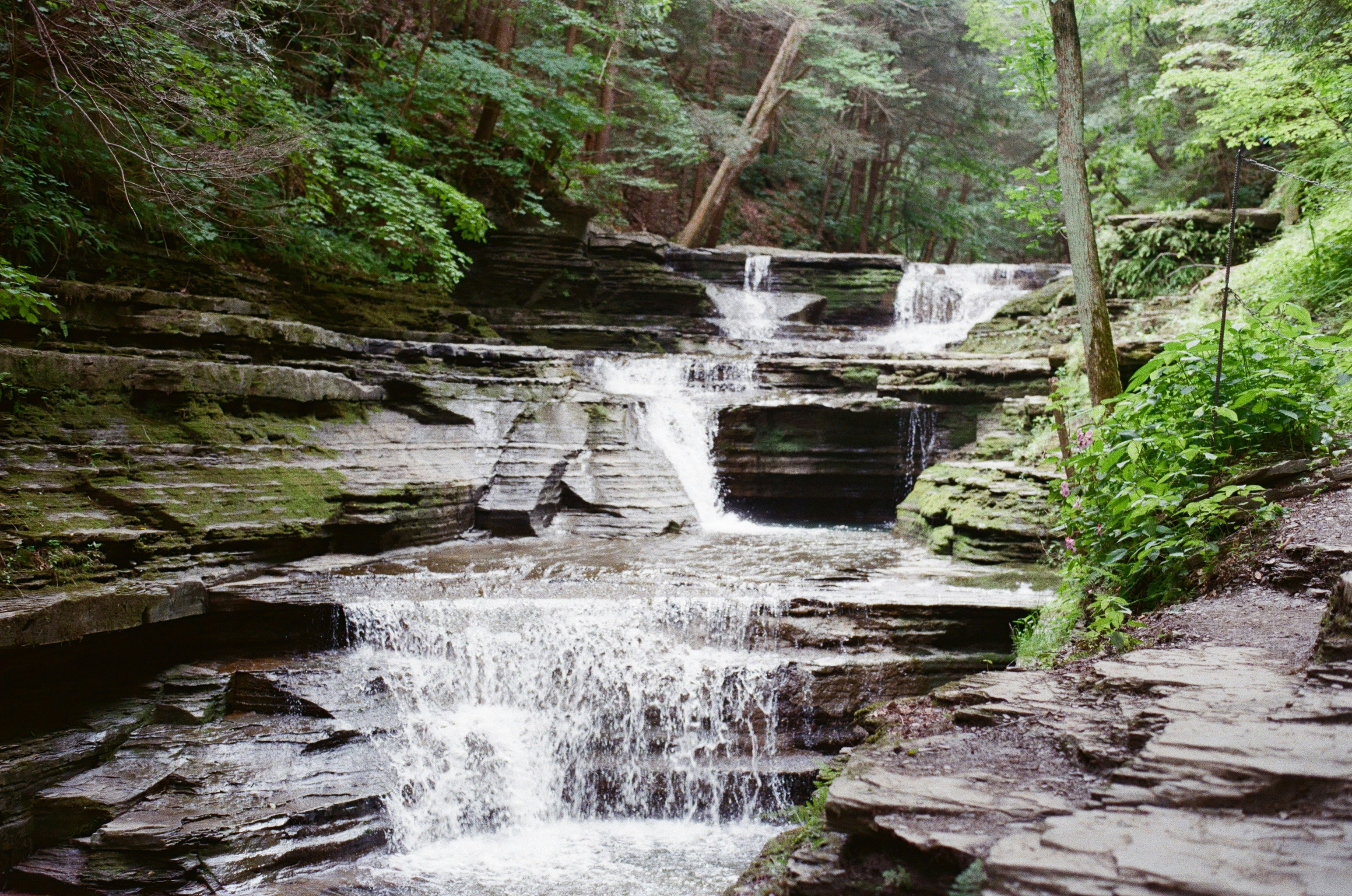 Photo by marthamonjaras