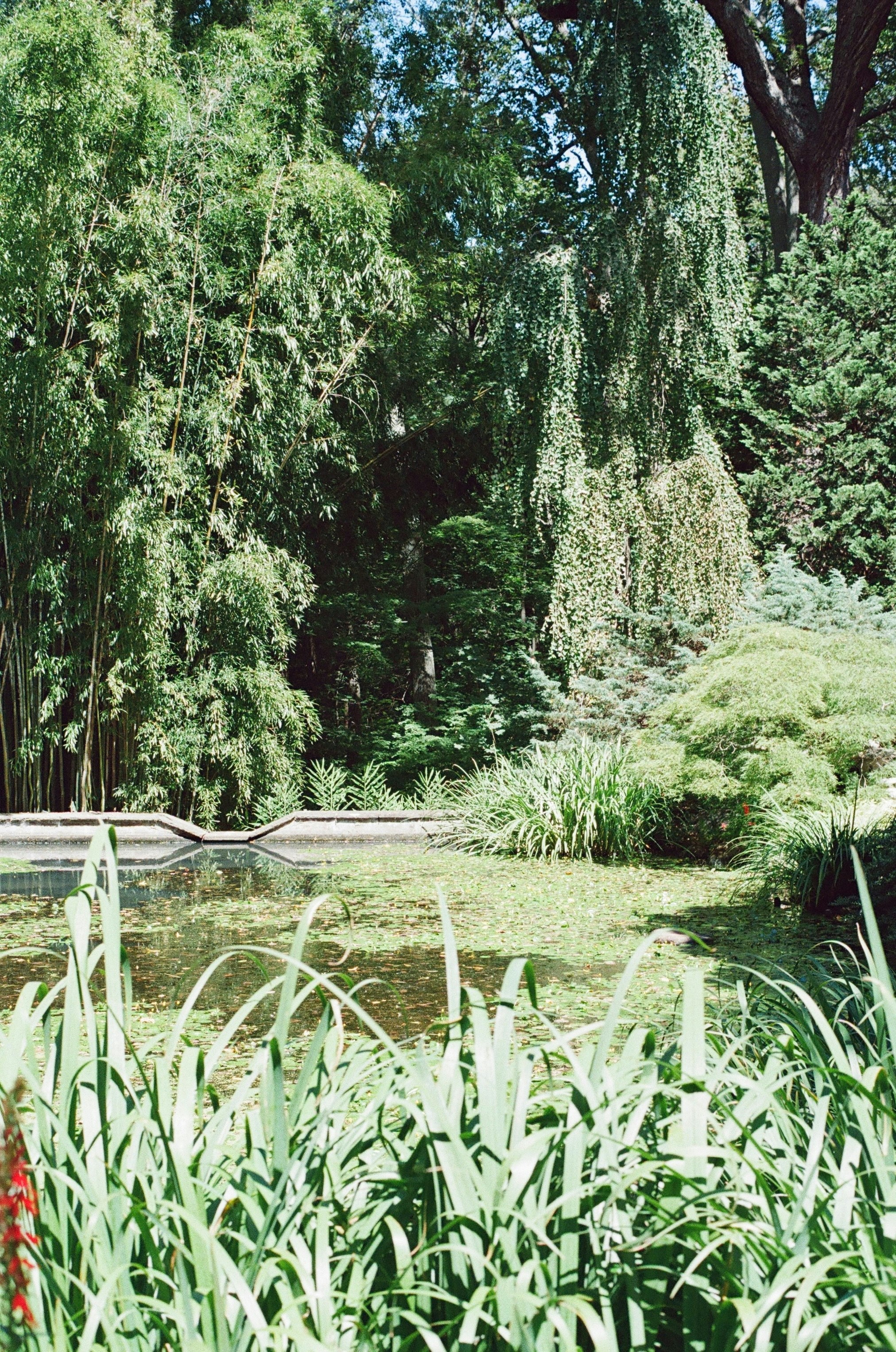 Photo by marthamonjaras