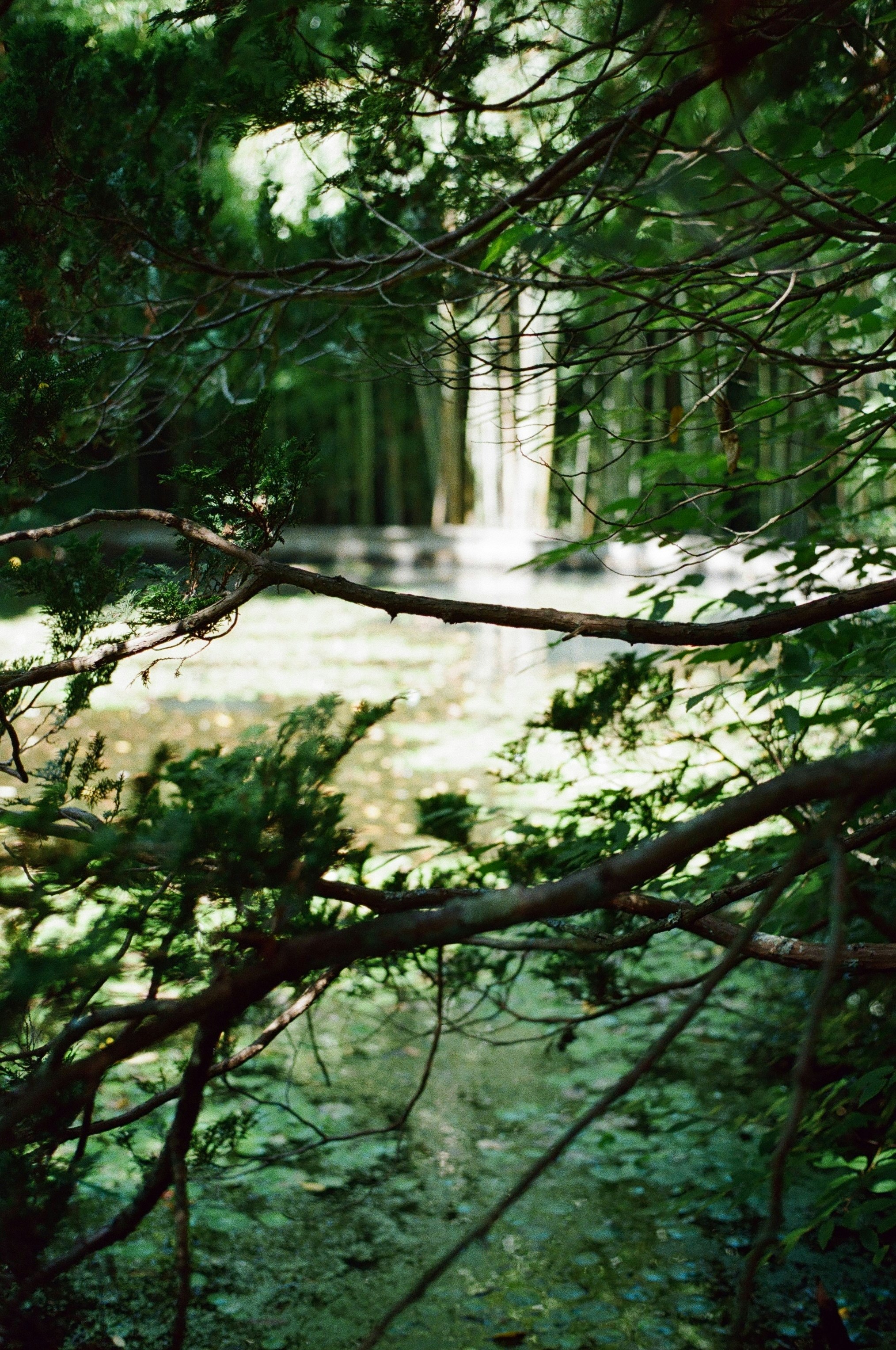 Photo by marthamonjaras