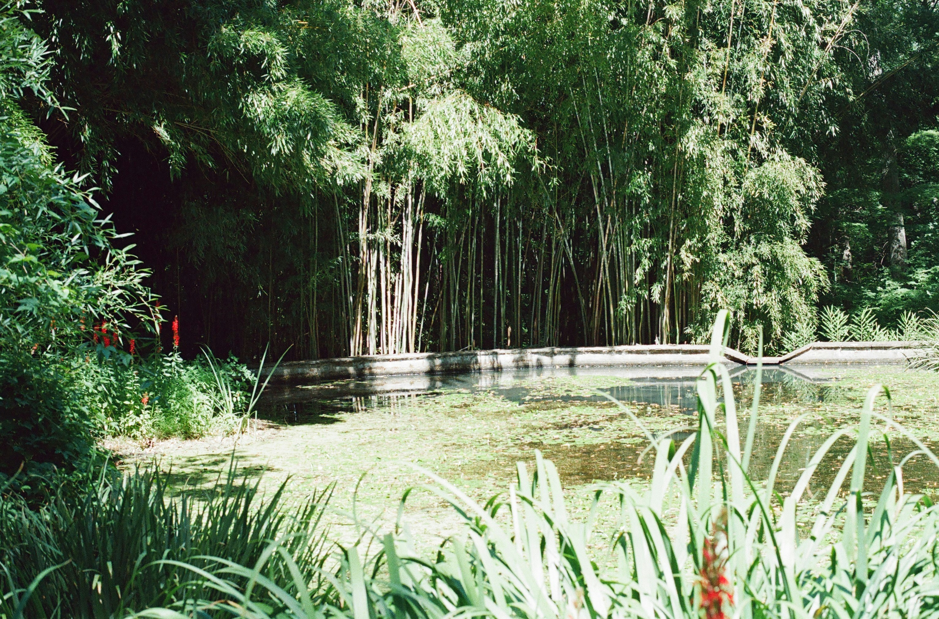 Photo by marthamonjaras