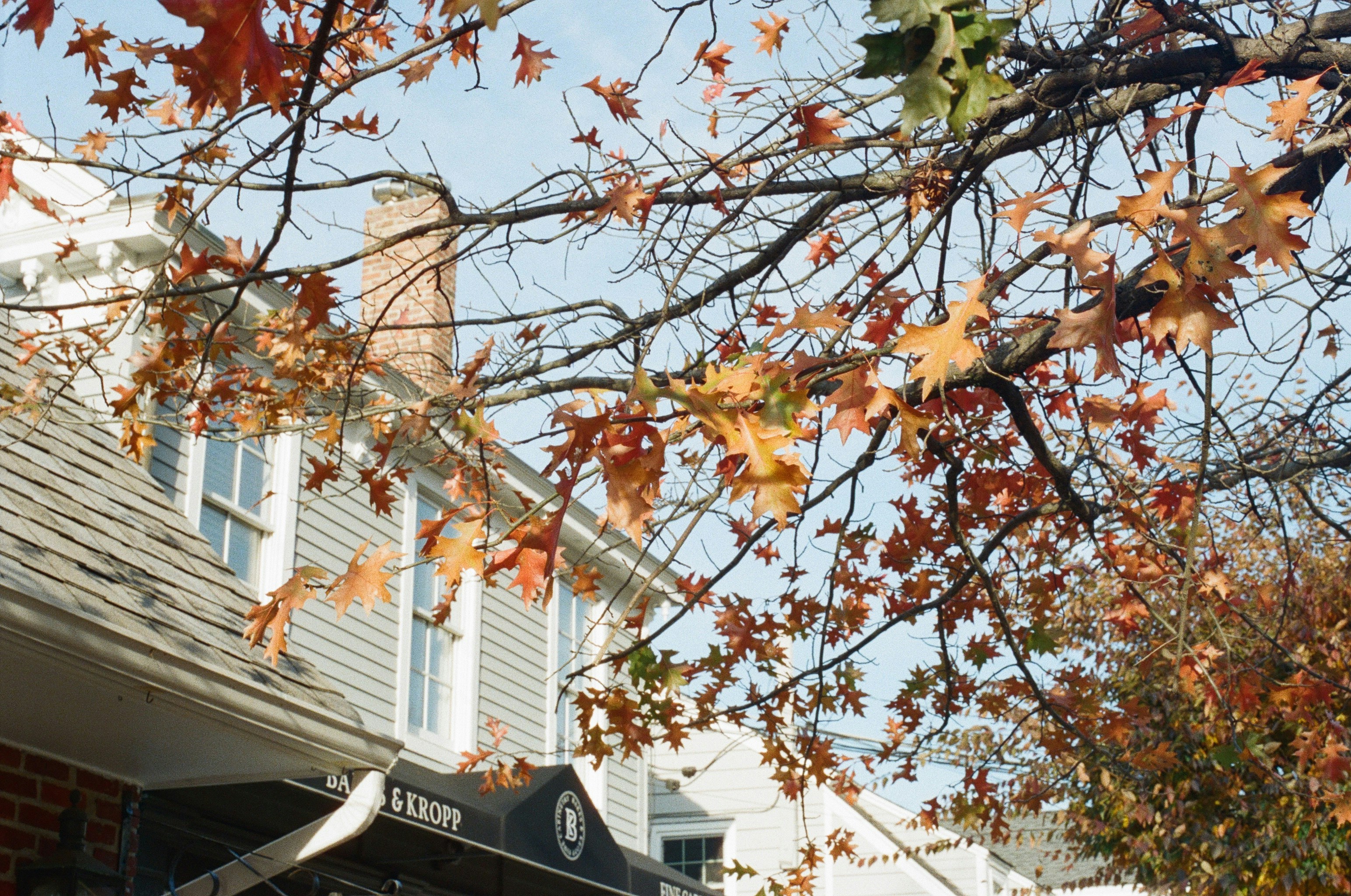 Photo by marthamonjaras