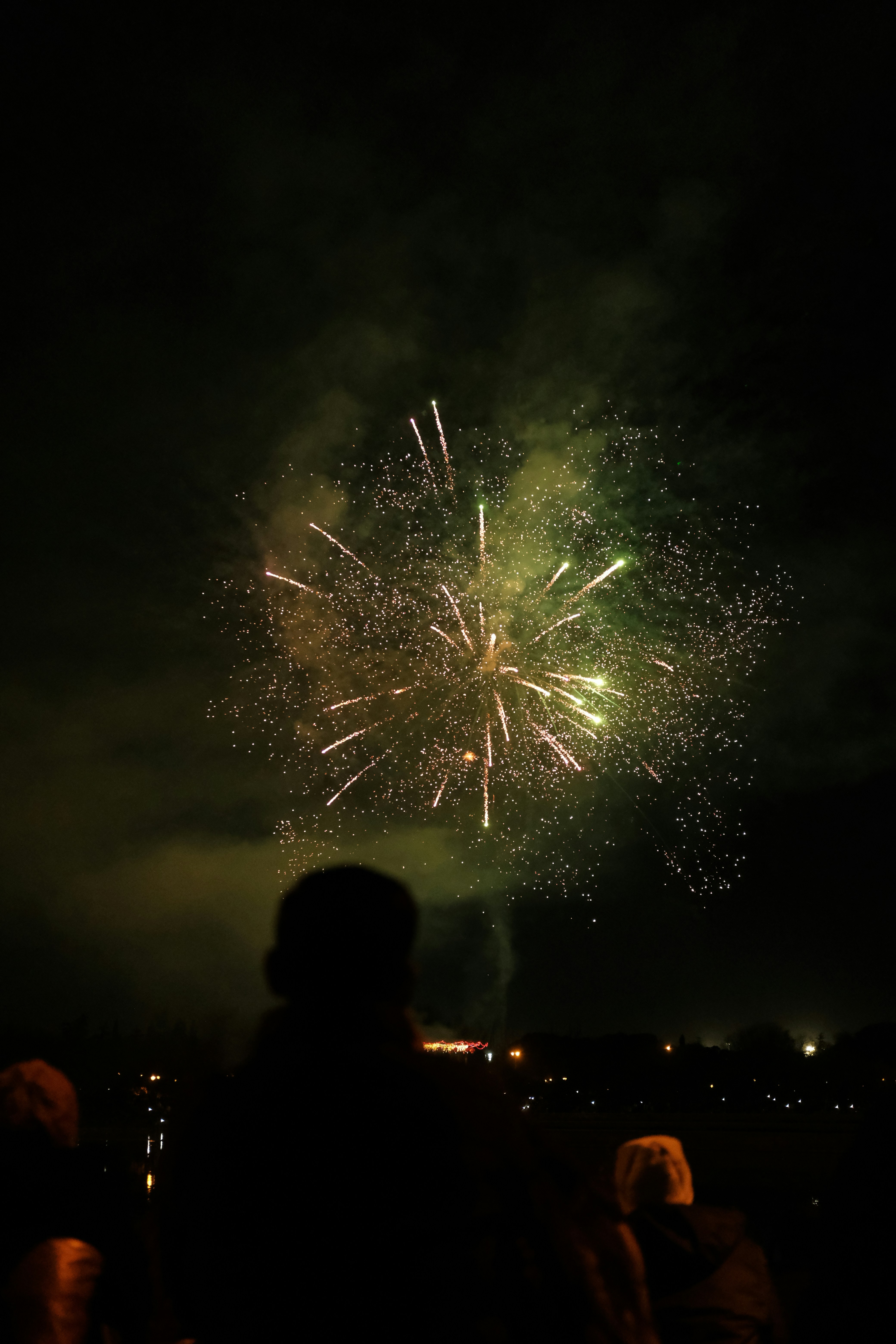 Menschen, die Feuerwerk am Nachthimmel explodieren sehen