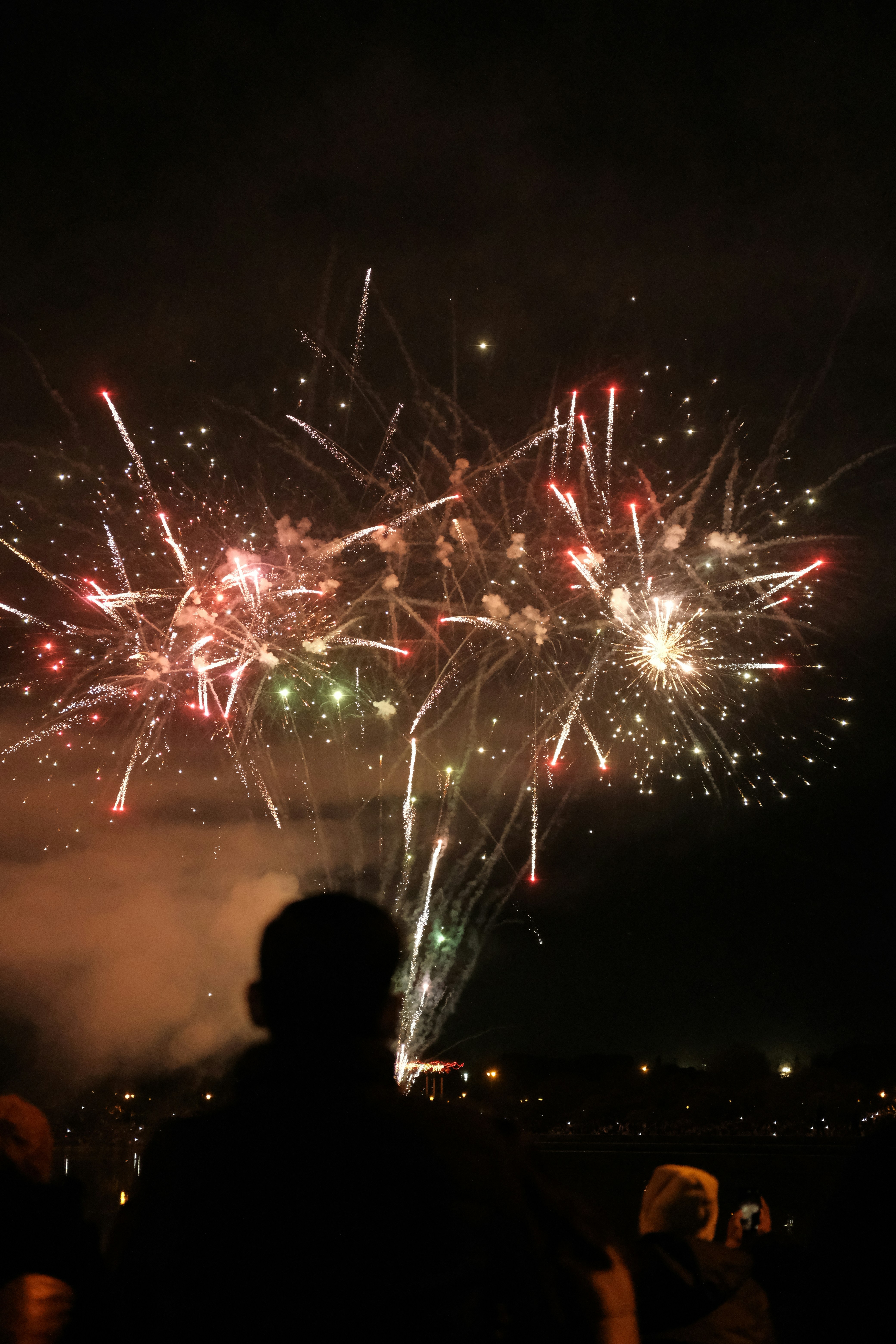 Die Leute beobachten Feuerwerke, die am Nachthimmel explodieren.