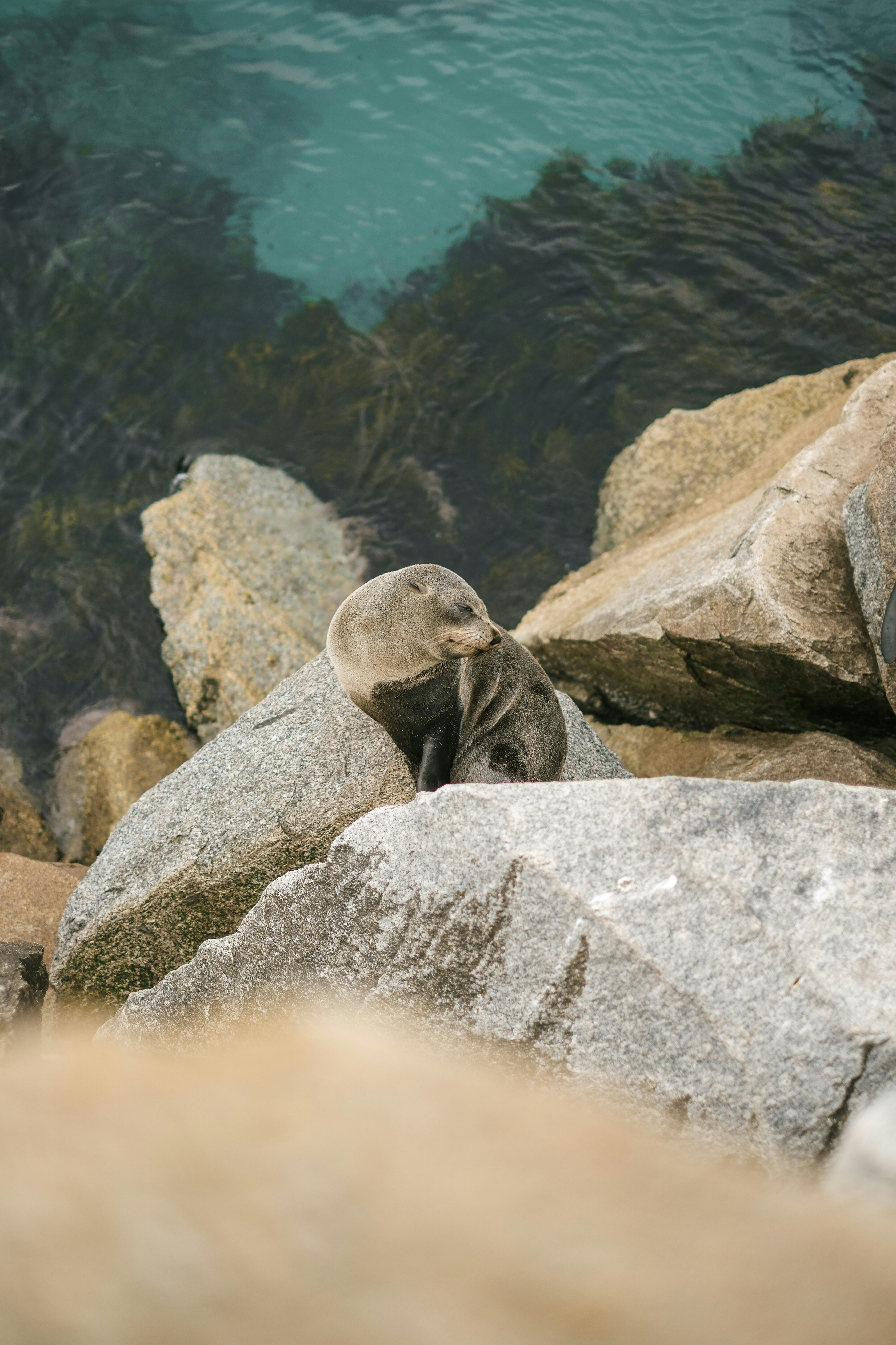 Photo by raegocreative