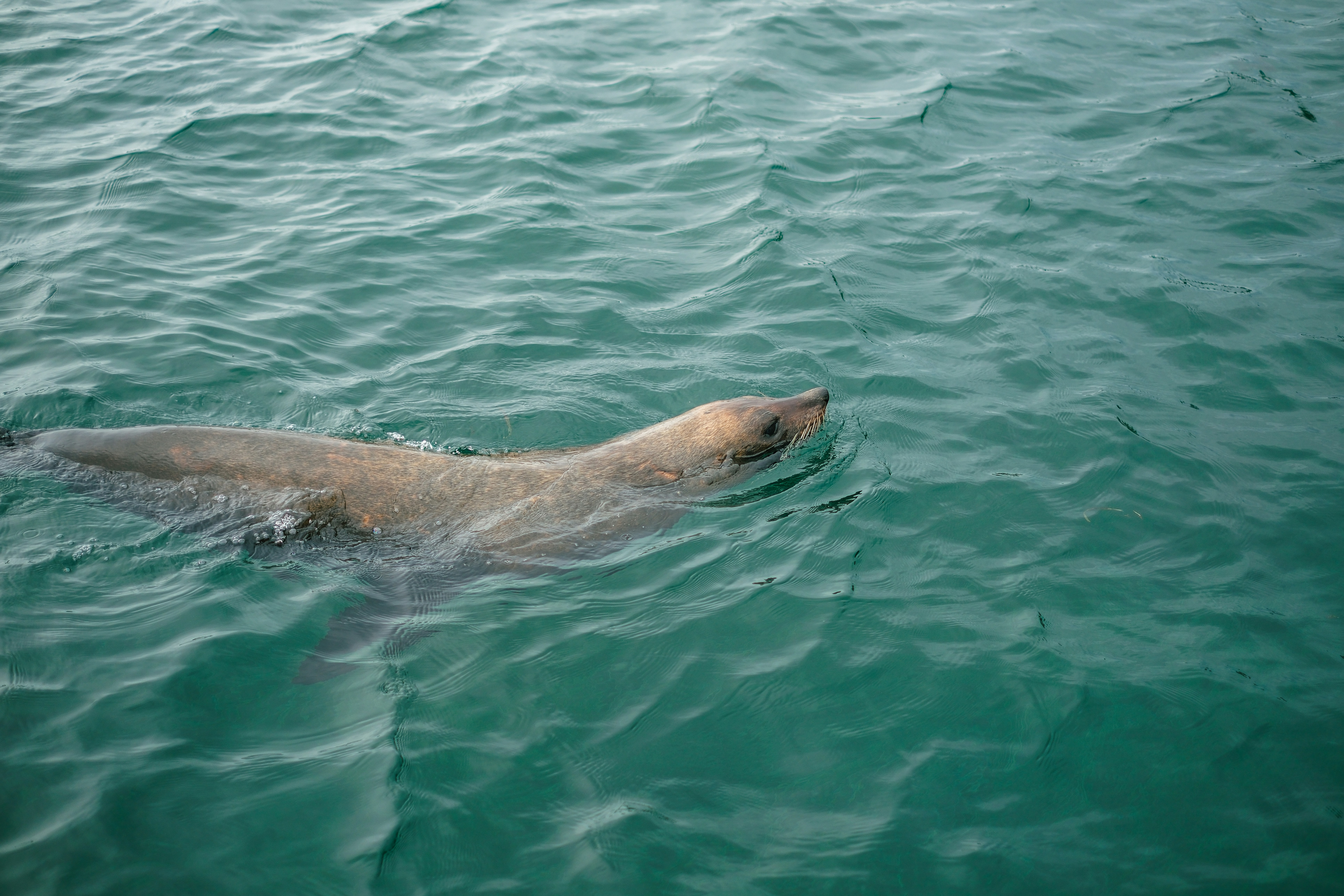 Photo by raegocreative