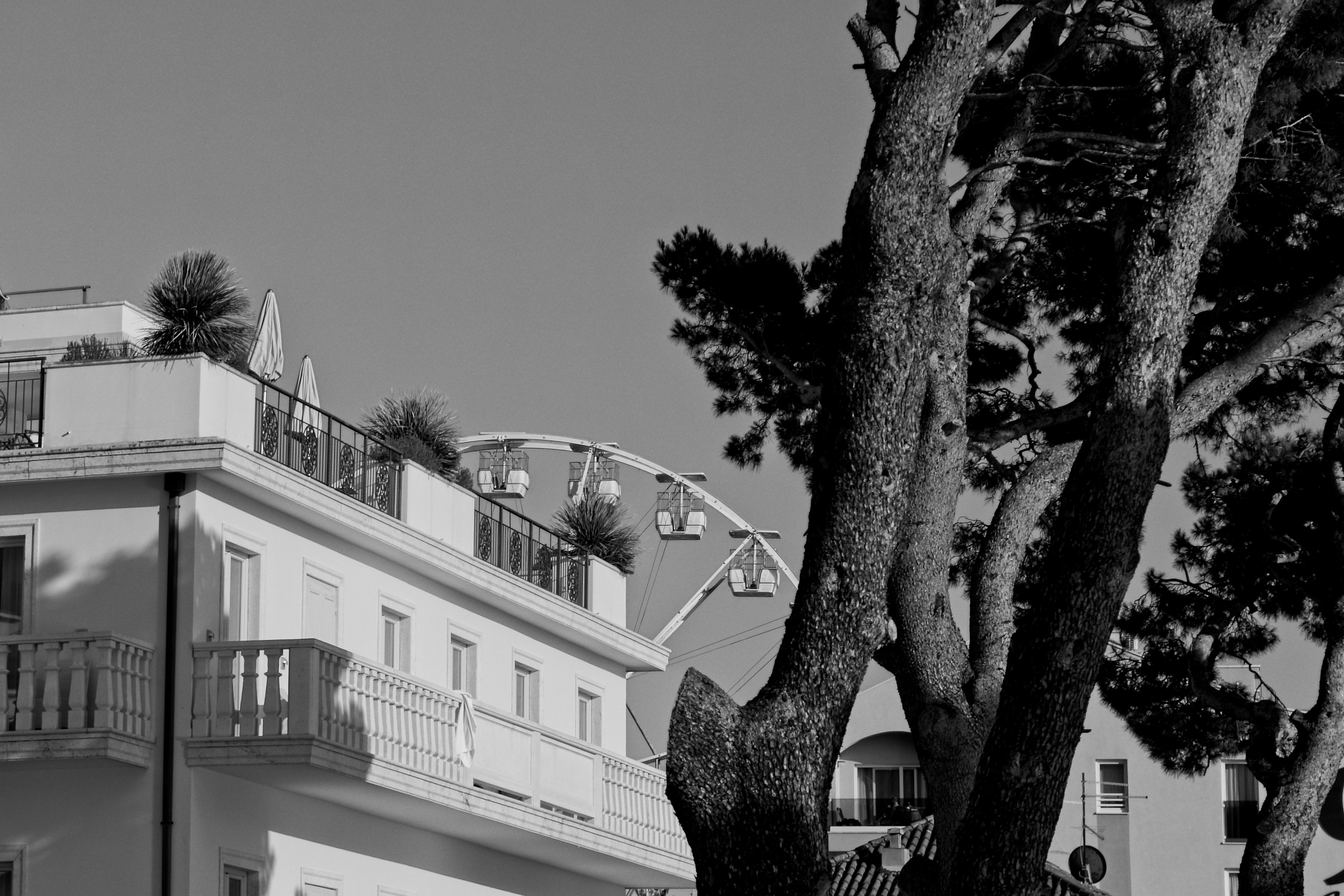Edificio con balcones y árboles contra el cielo