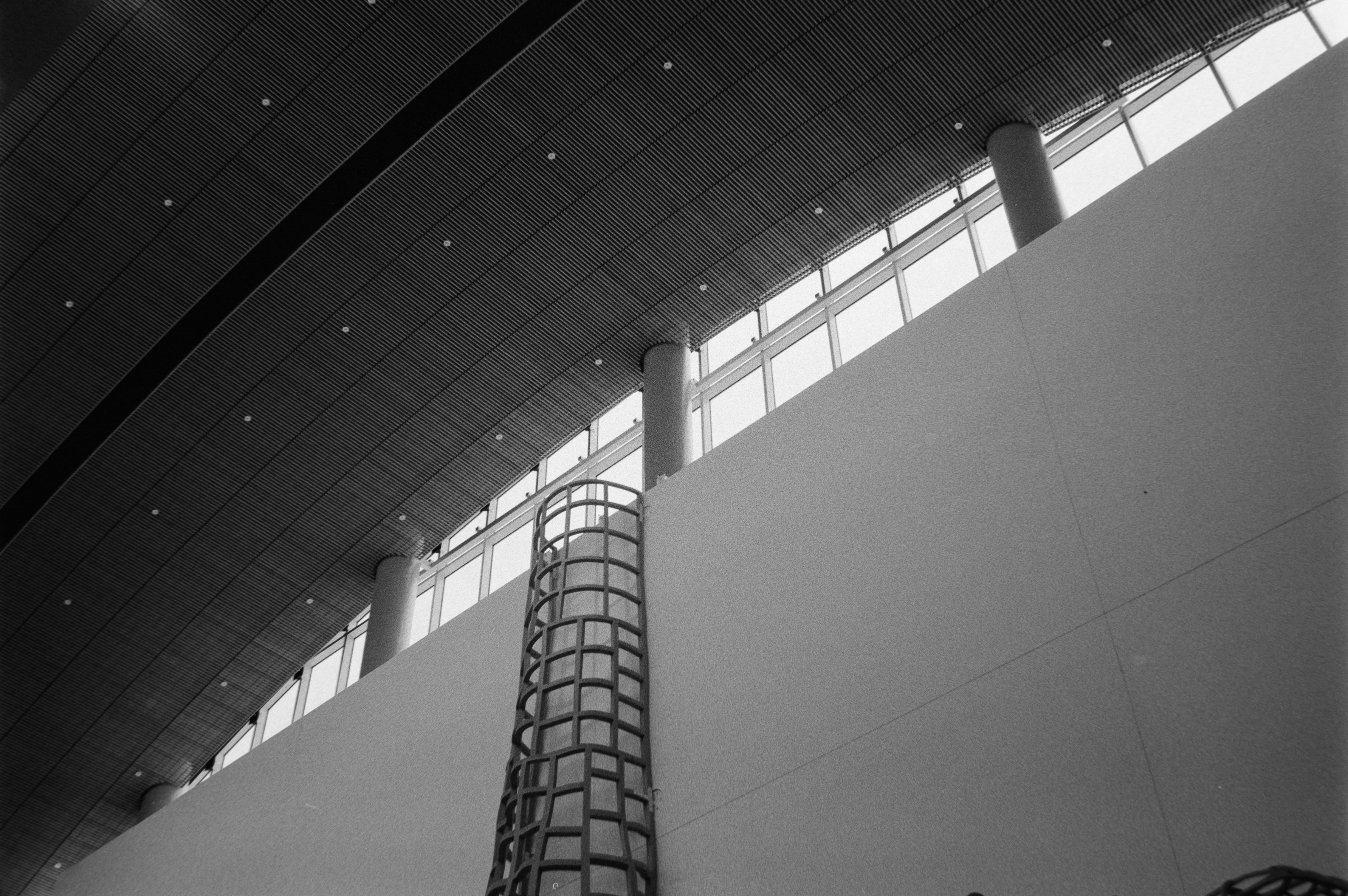 Photo by theguccer2100