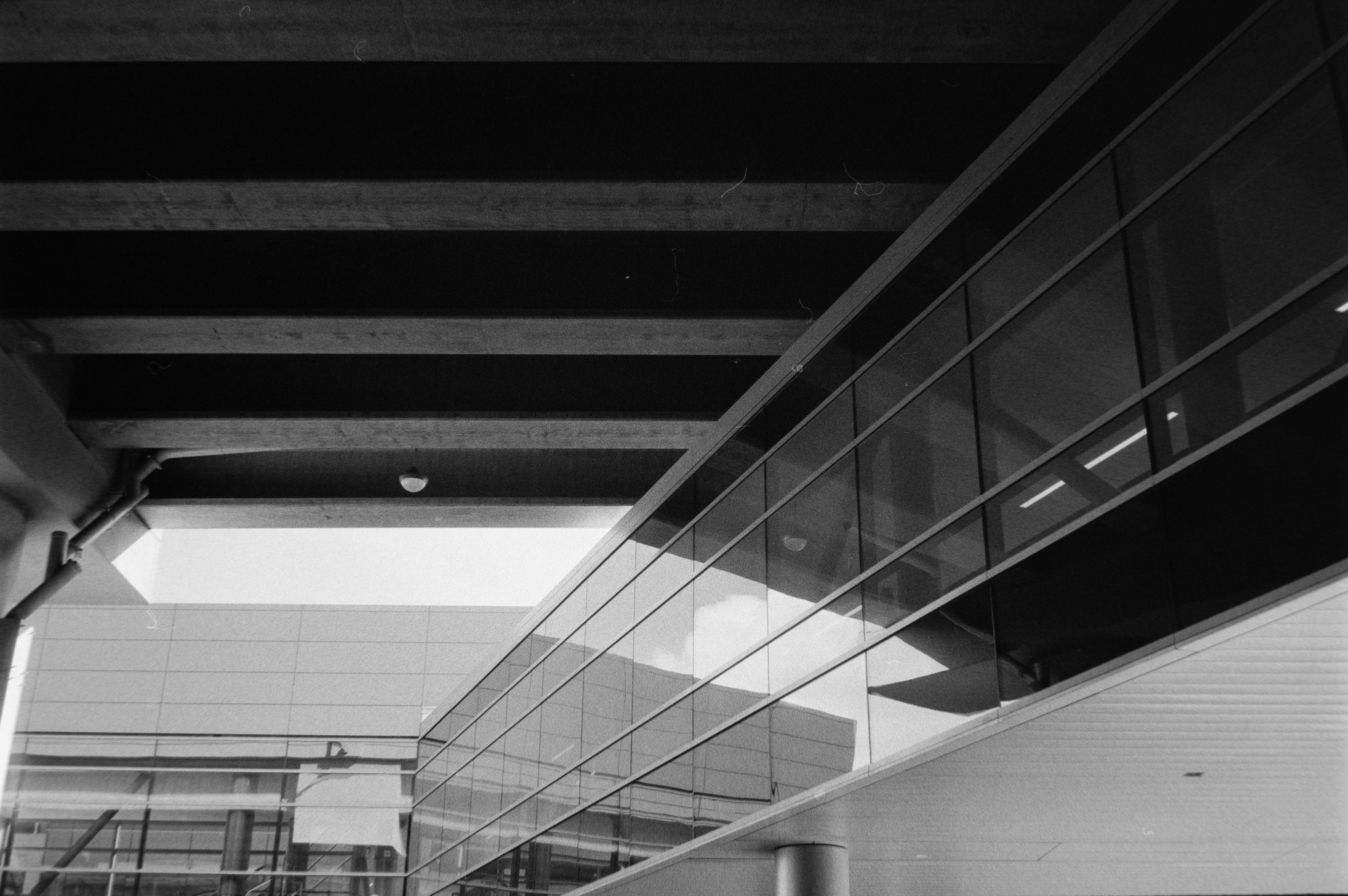 Photo by theguccer2100