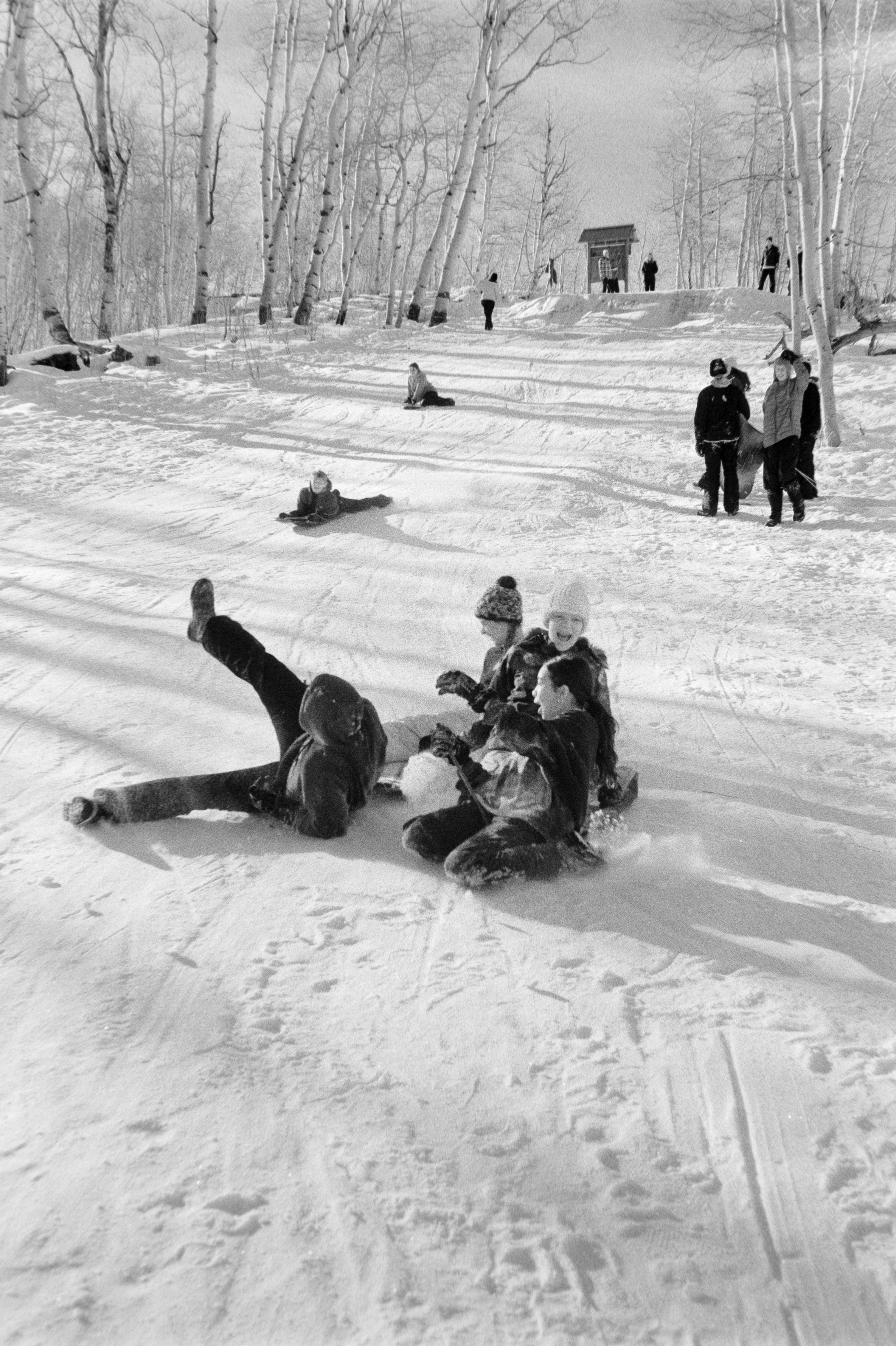 Photo by theguccer2100