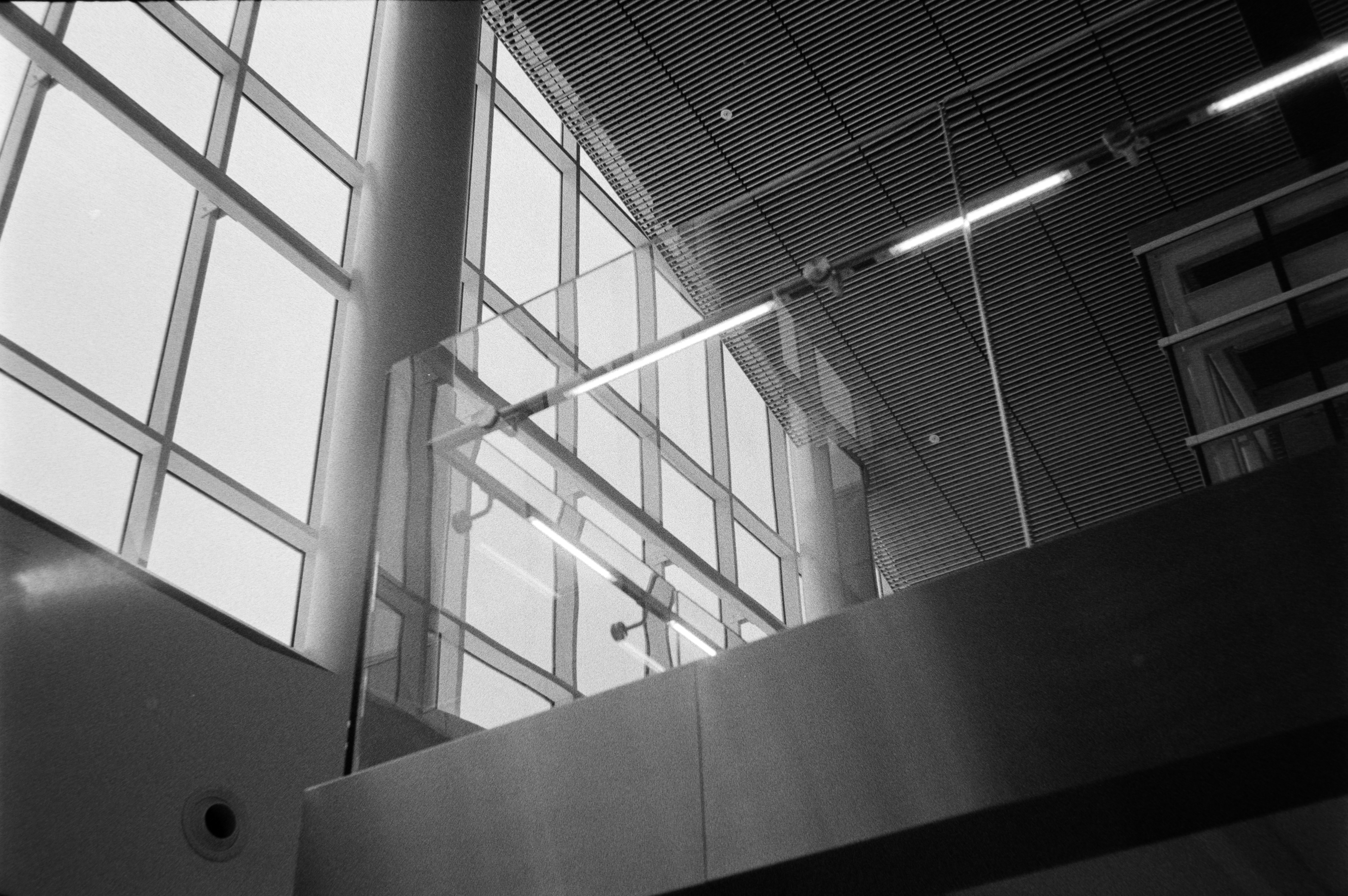 Photo by theguccer2100