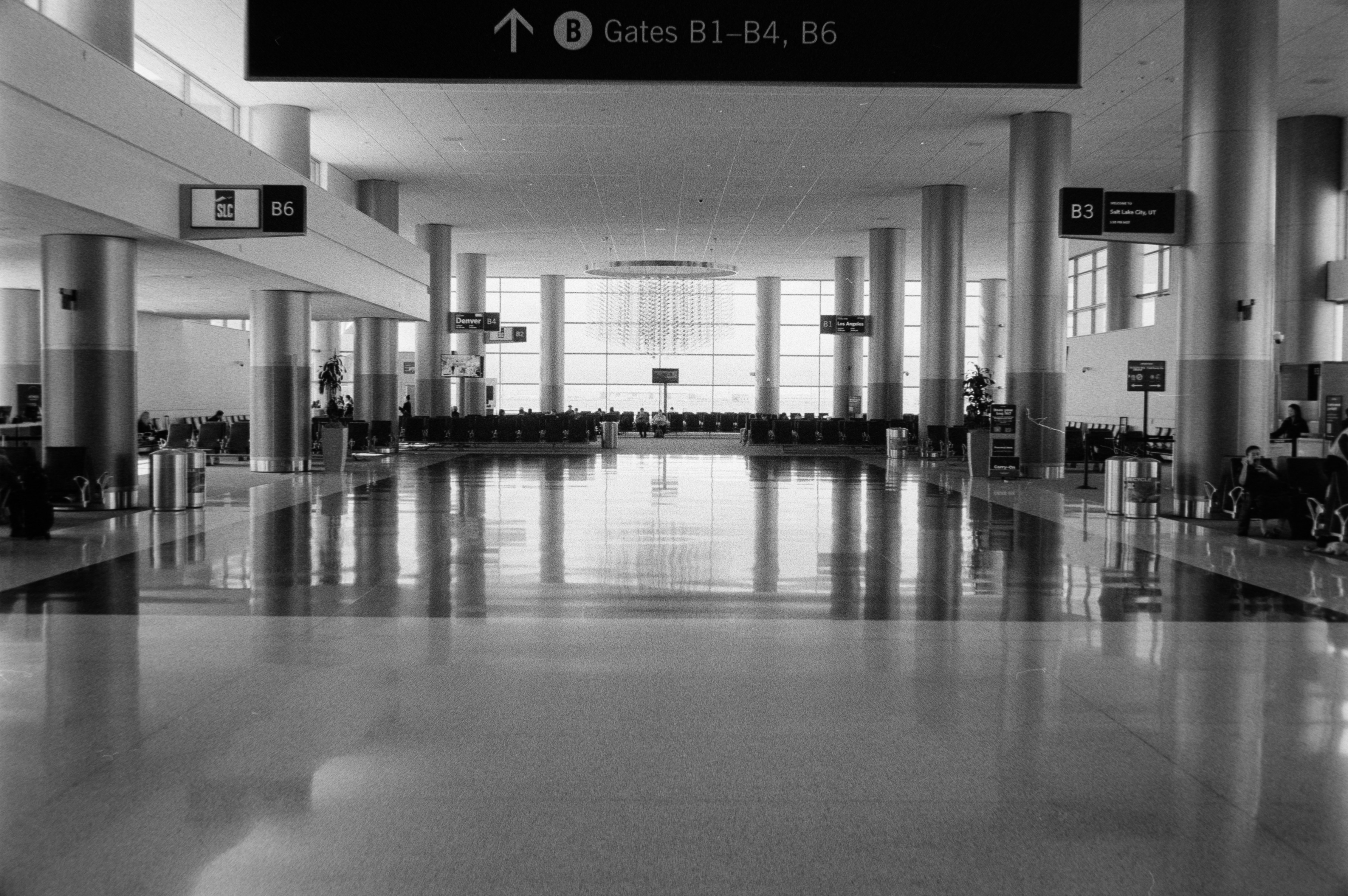 Photo by theguccer2100