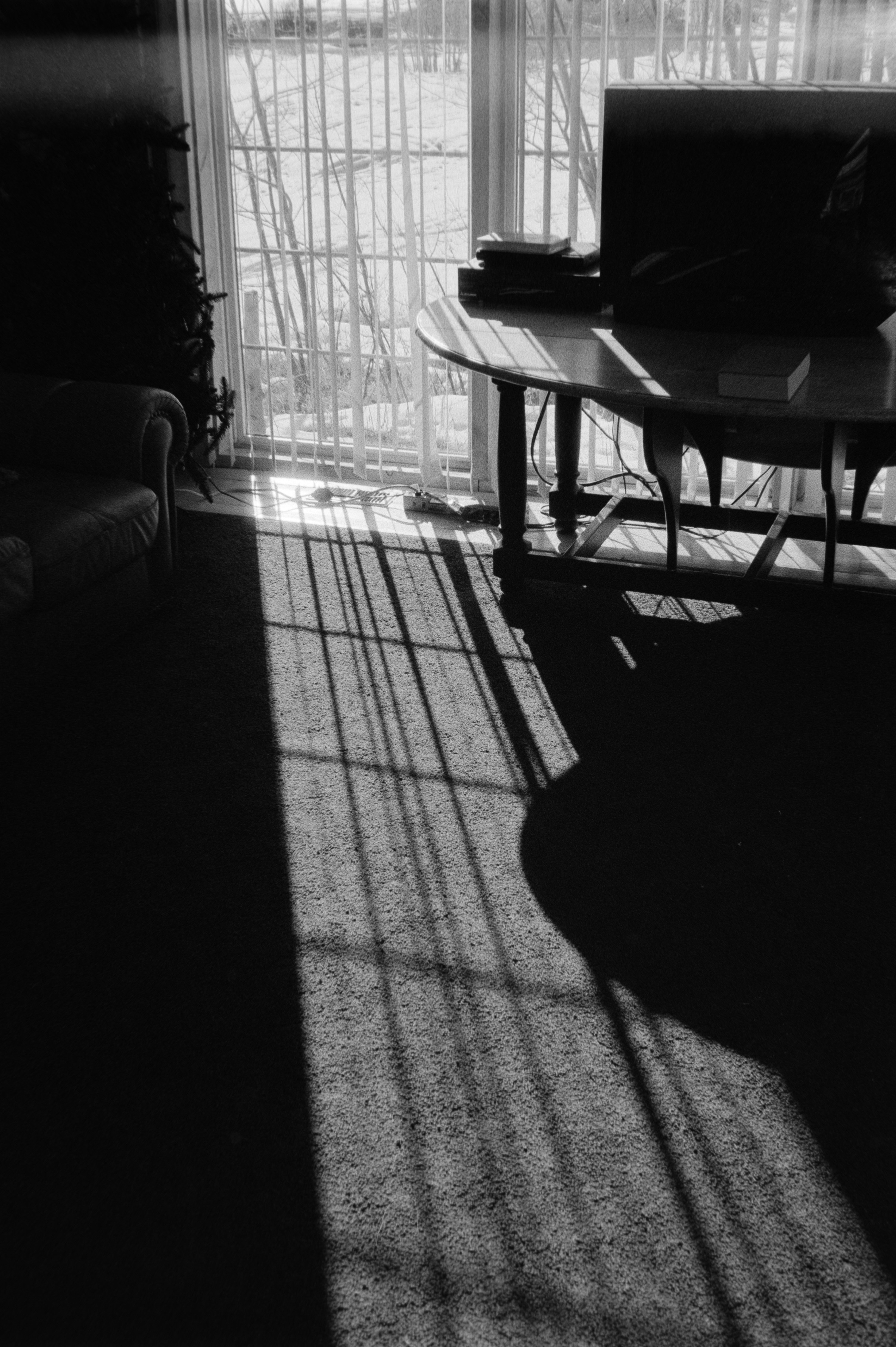 Photo by theguccer2100