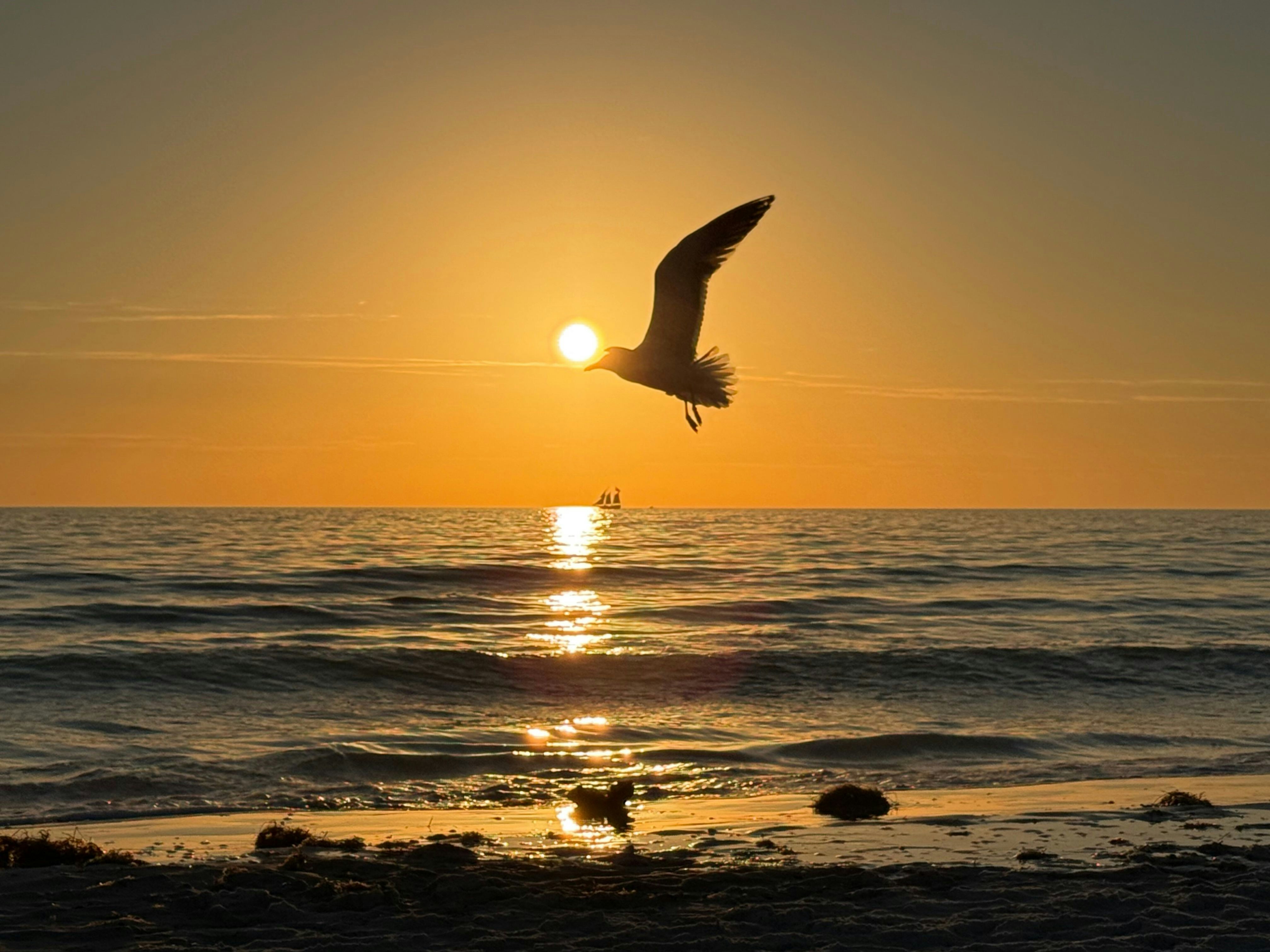 Photo by bytraceybureau