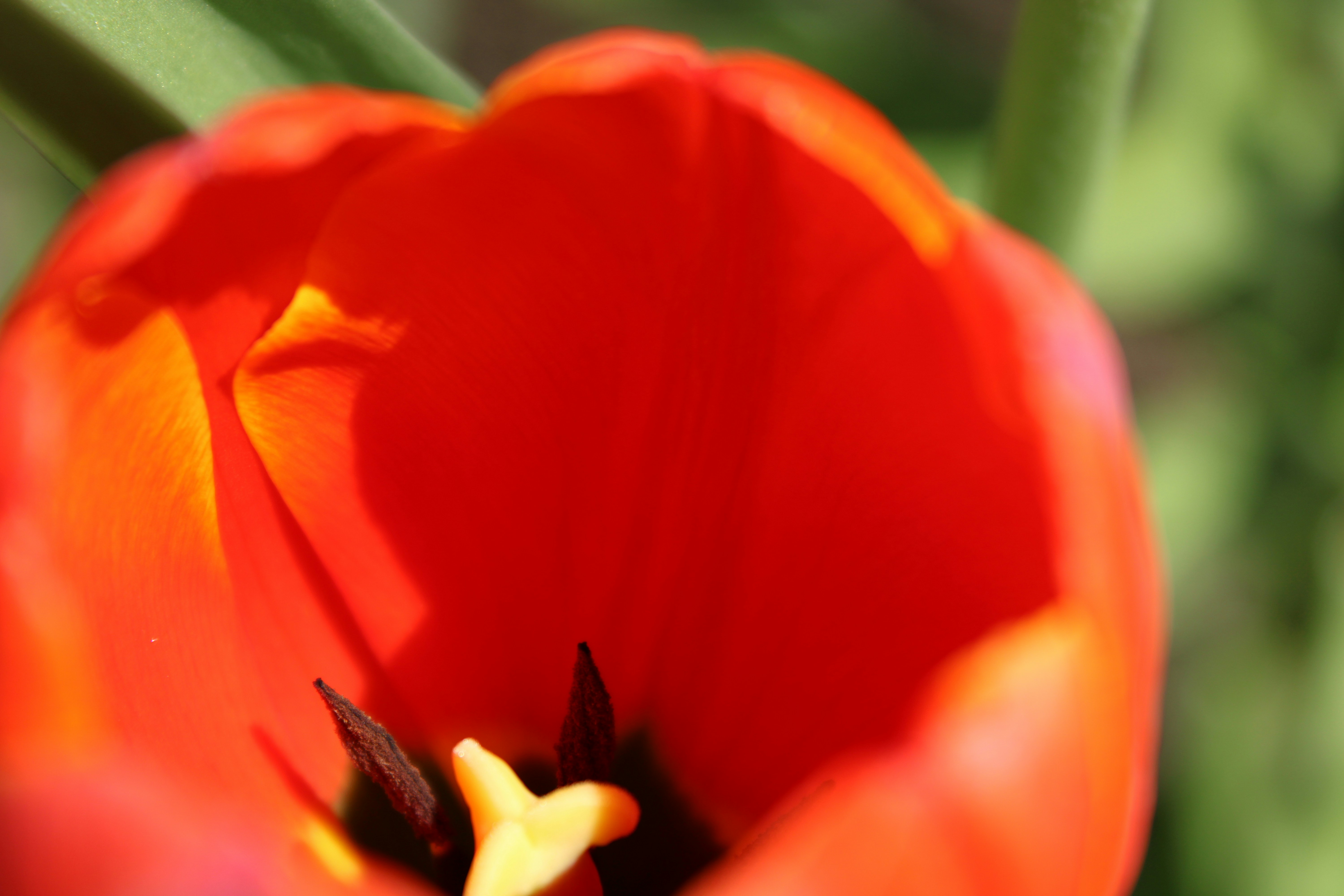 Photo by danielhalip