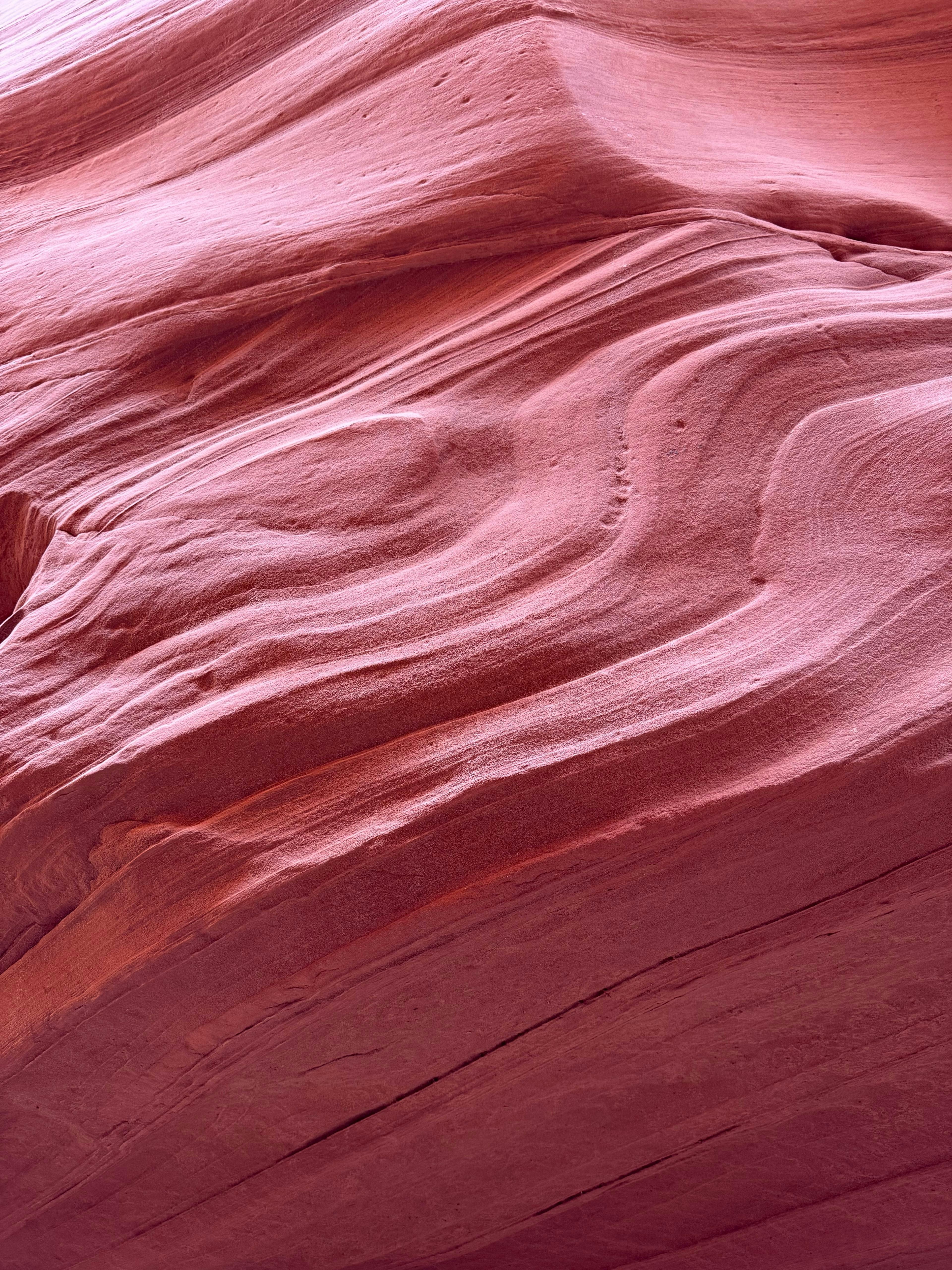 Photo by beatricebolondi