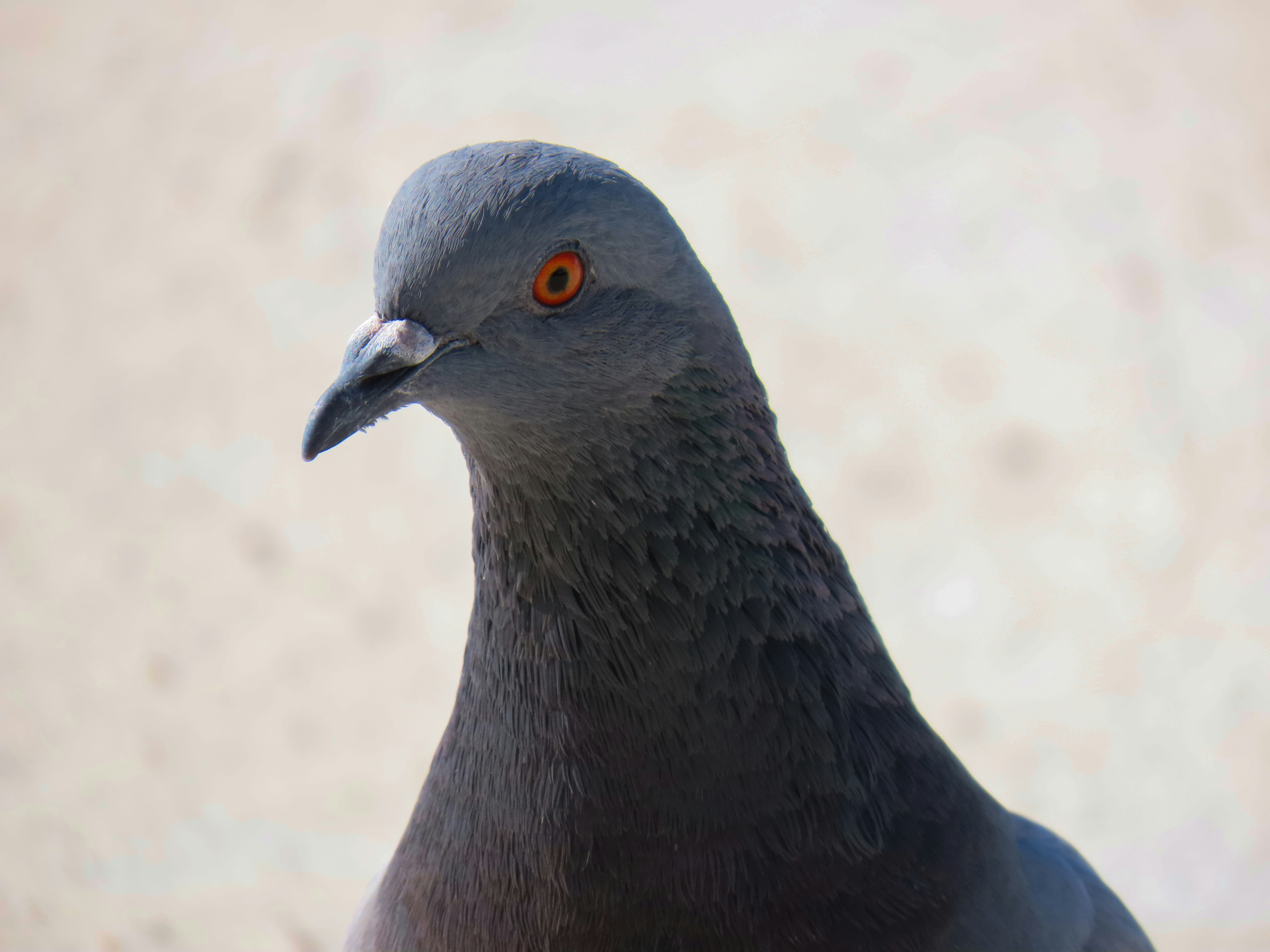 Photo by patricianicoloso