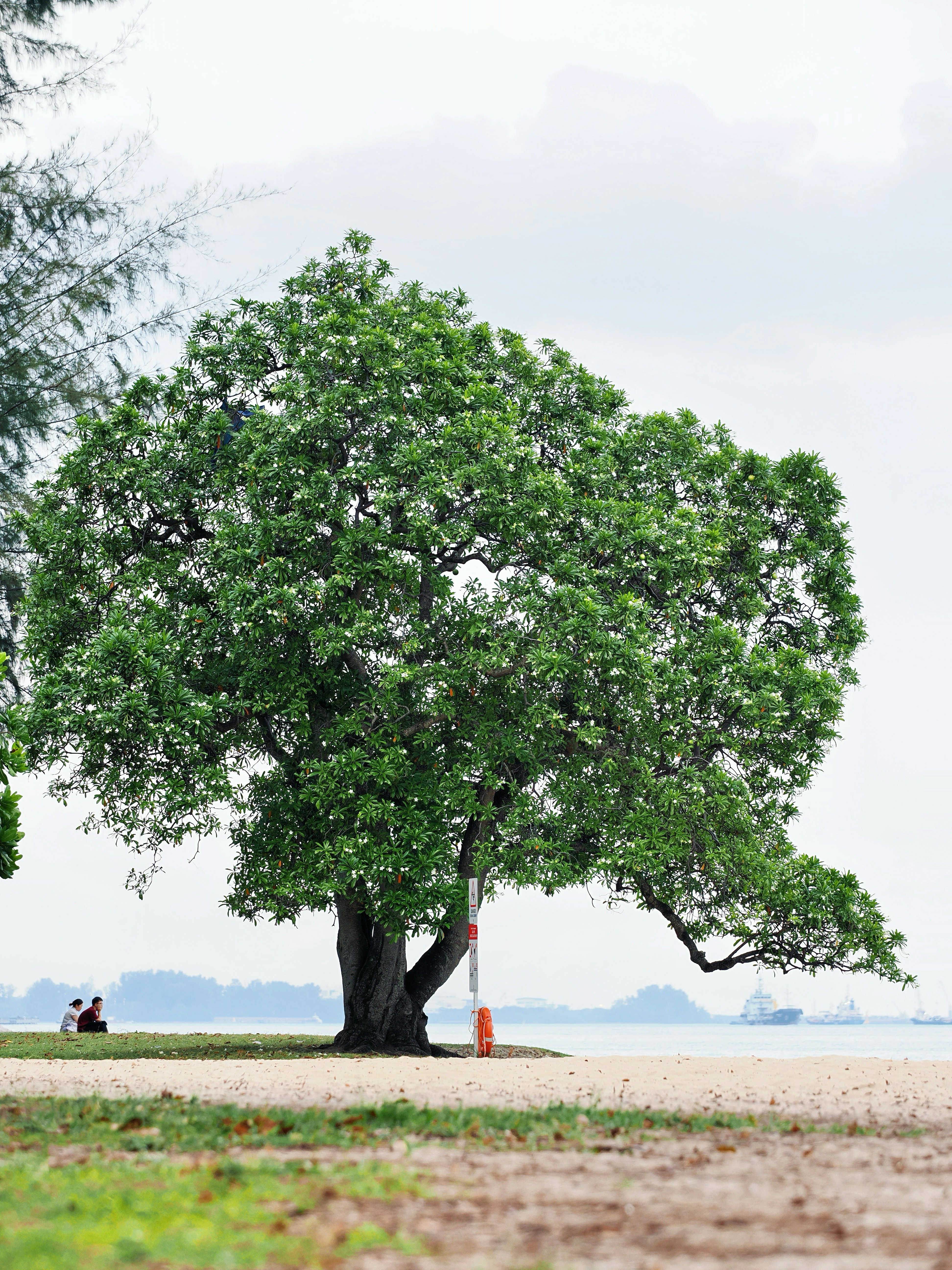 Photo by liliantruong2603