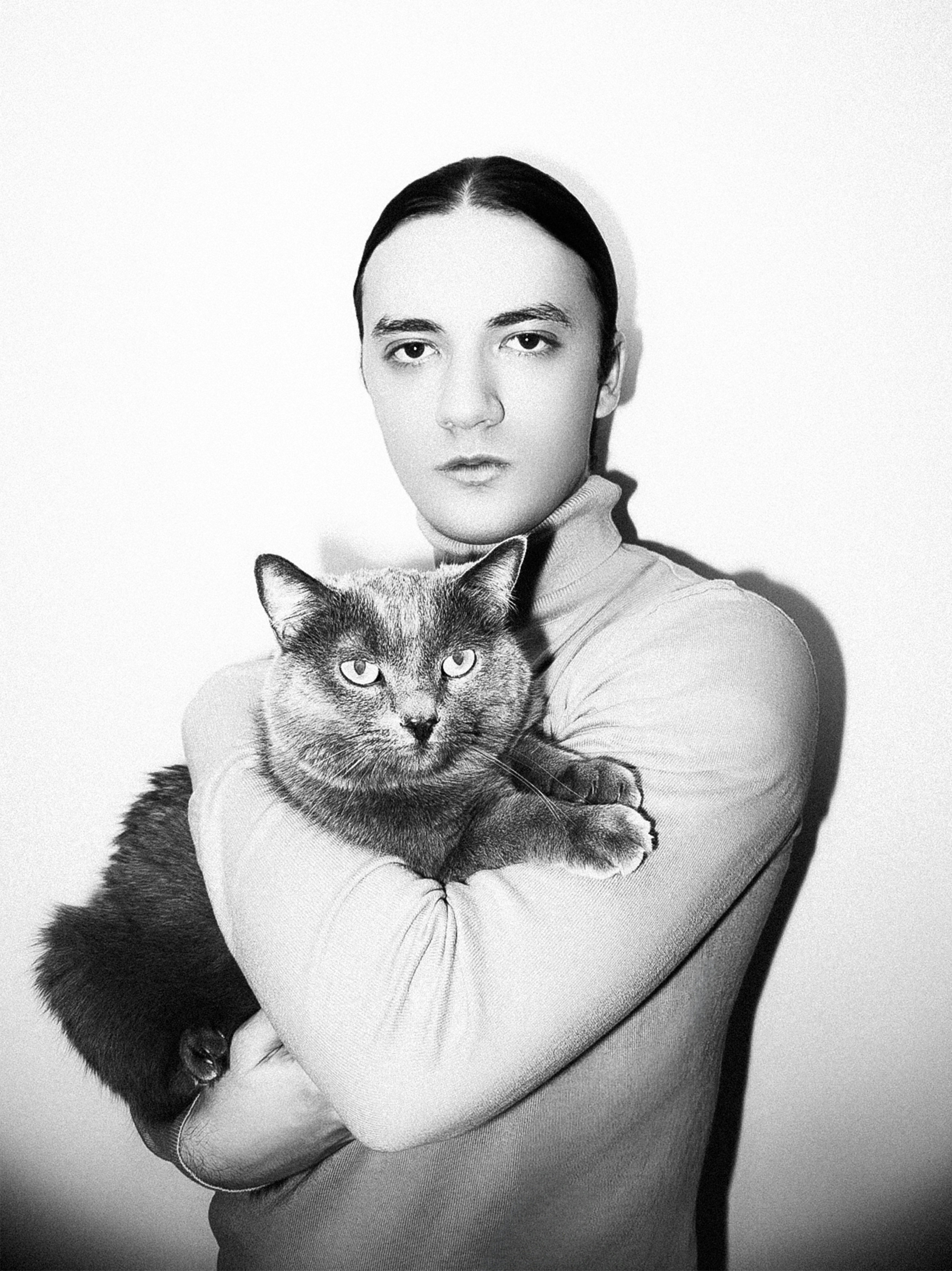 minimalist pet wallpaper, wallpaper, Pet-Friendly Small Apartment Living 3