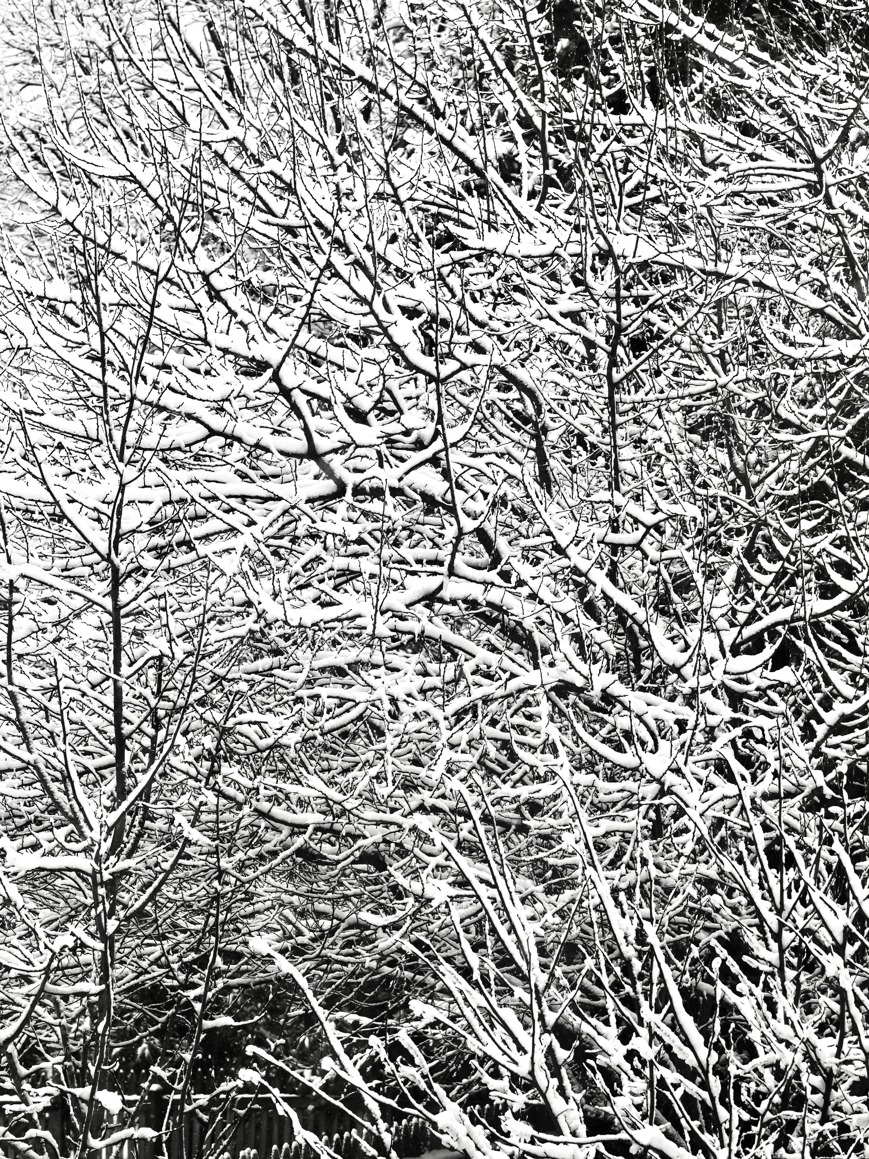 Photo by sschusterphotoart