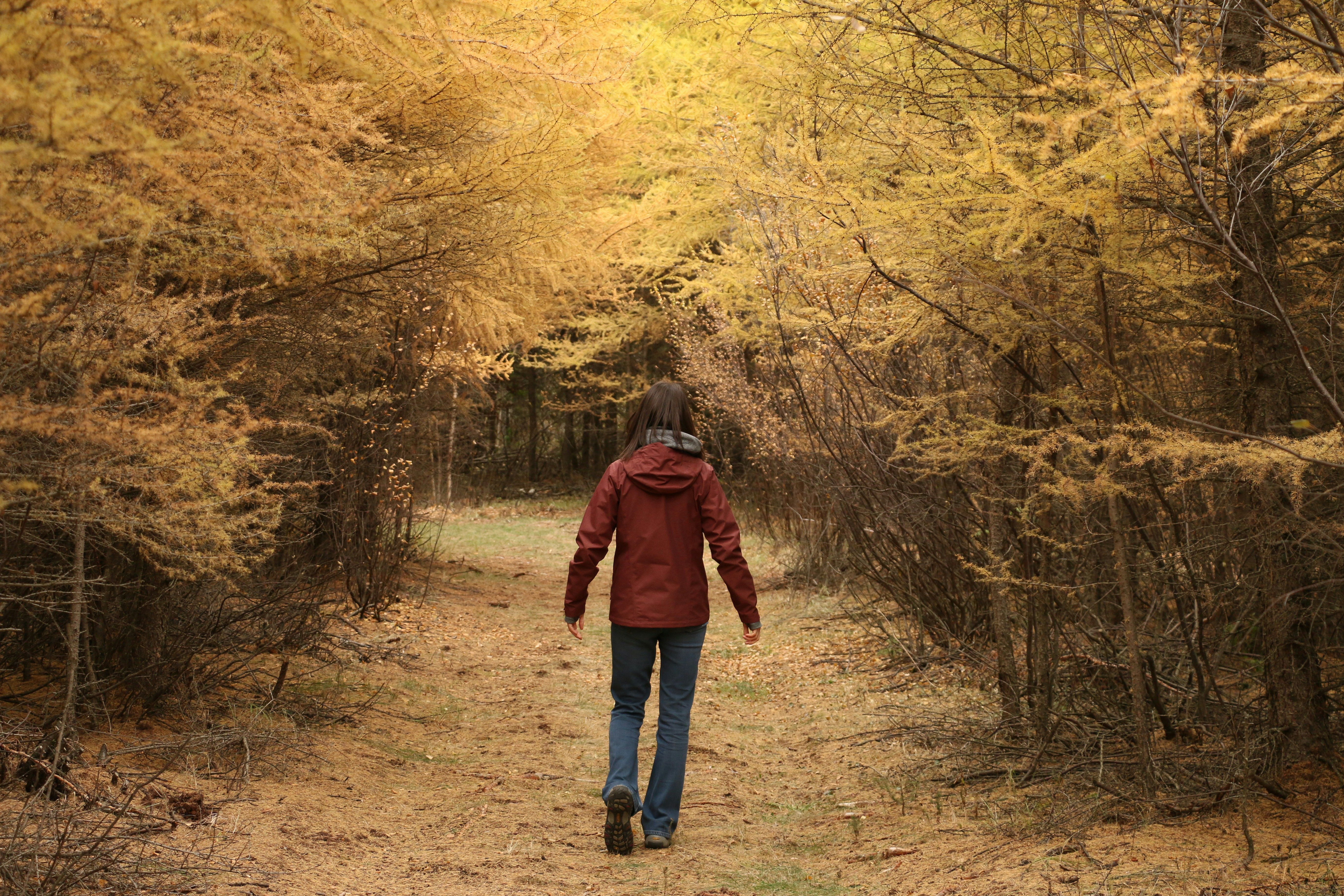 Photo by photosbygina_yeg